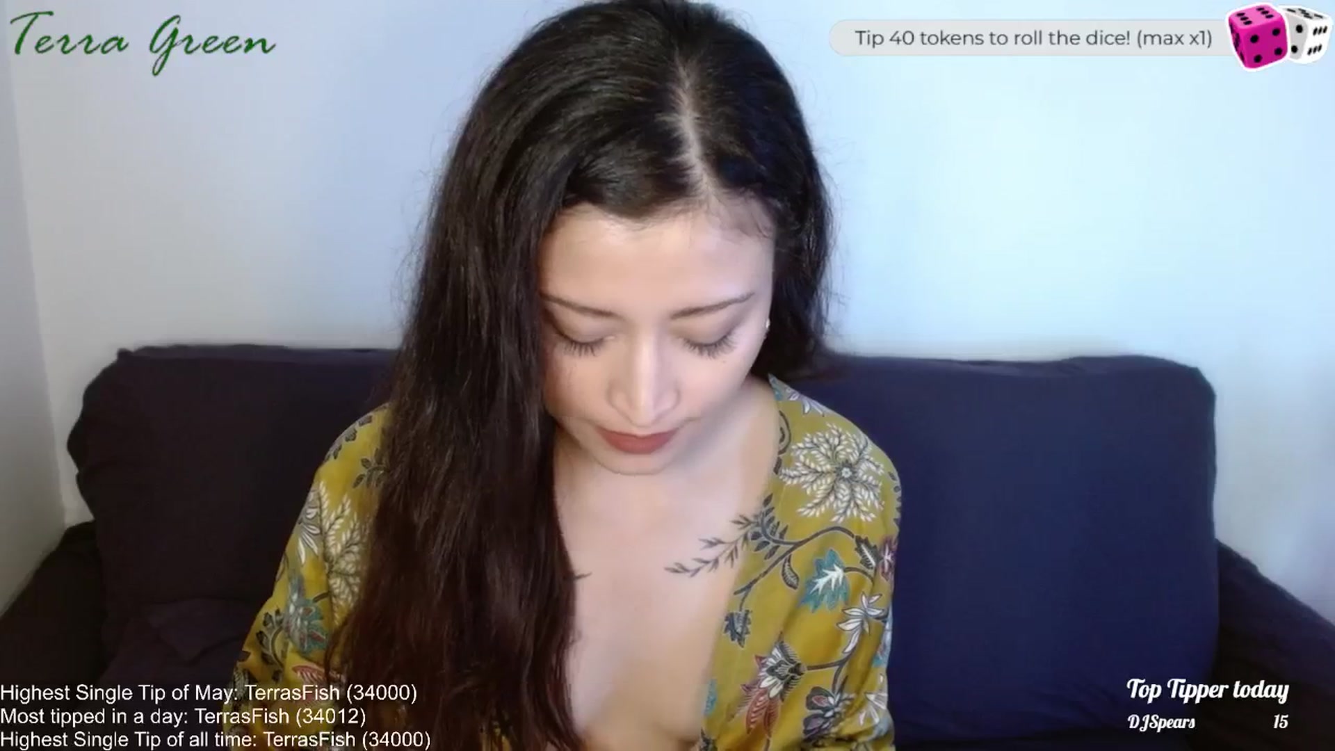 Gallery image thumbnail from TerraGreen's myfreecams stream on, 06/08/2024, 22:45 image 5 of 20