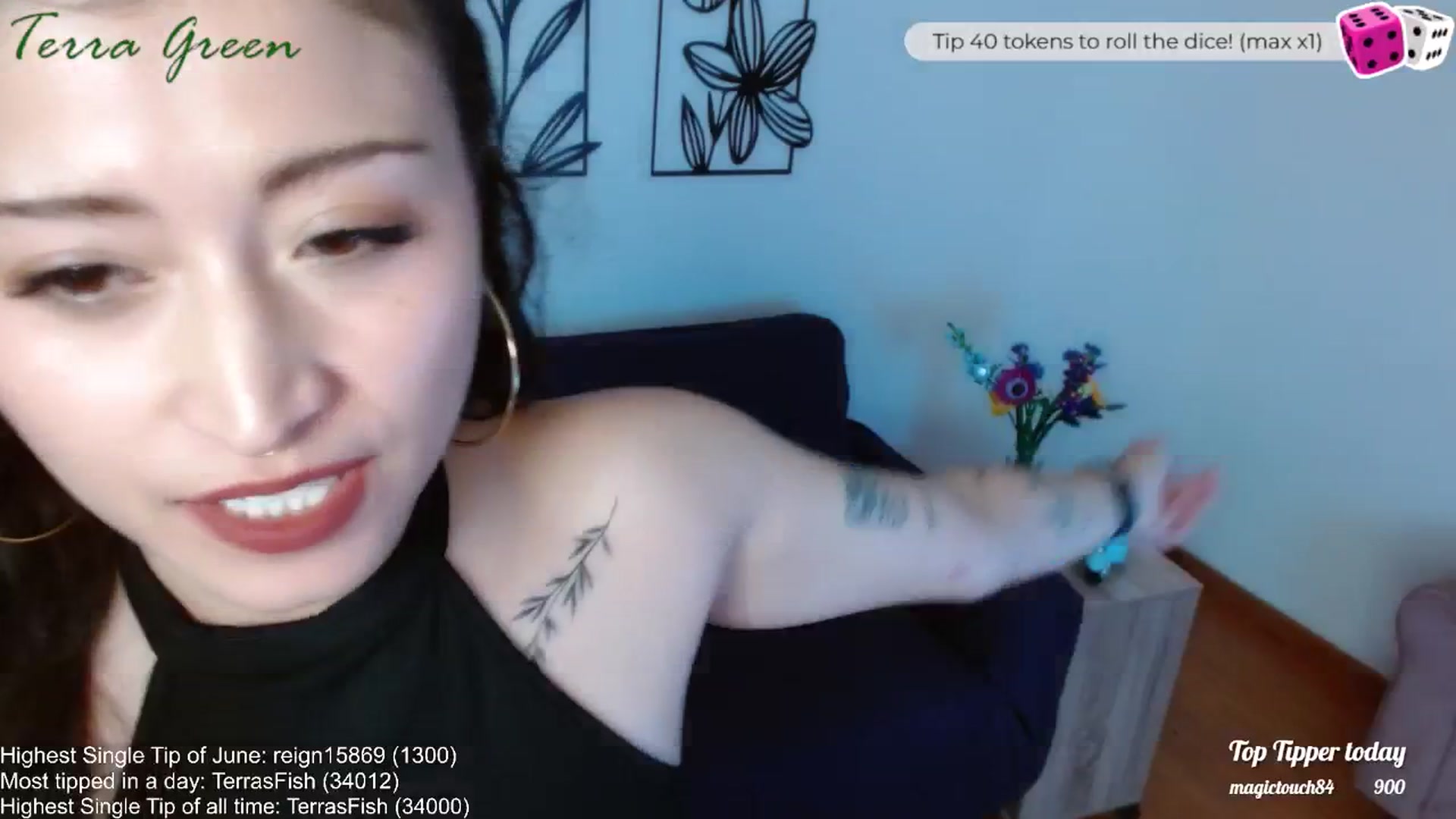 Gallery image thumbnail from TerraGreen's myfreecams stream on, 06/14/2024, 22:15 image 8 of 20