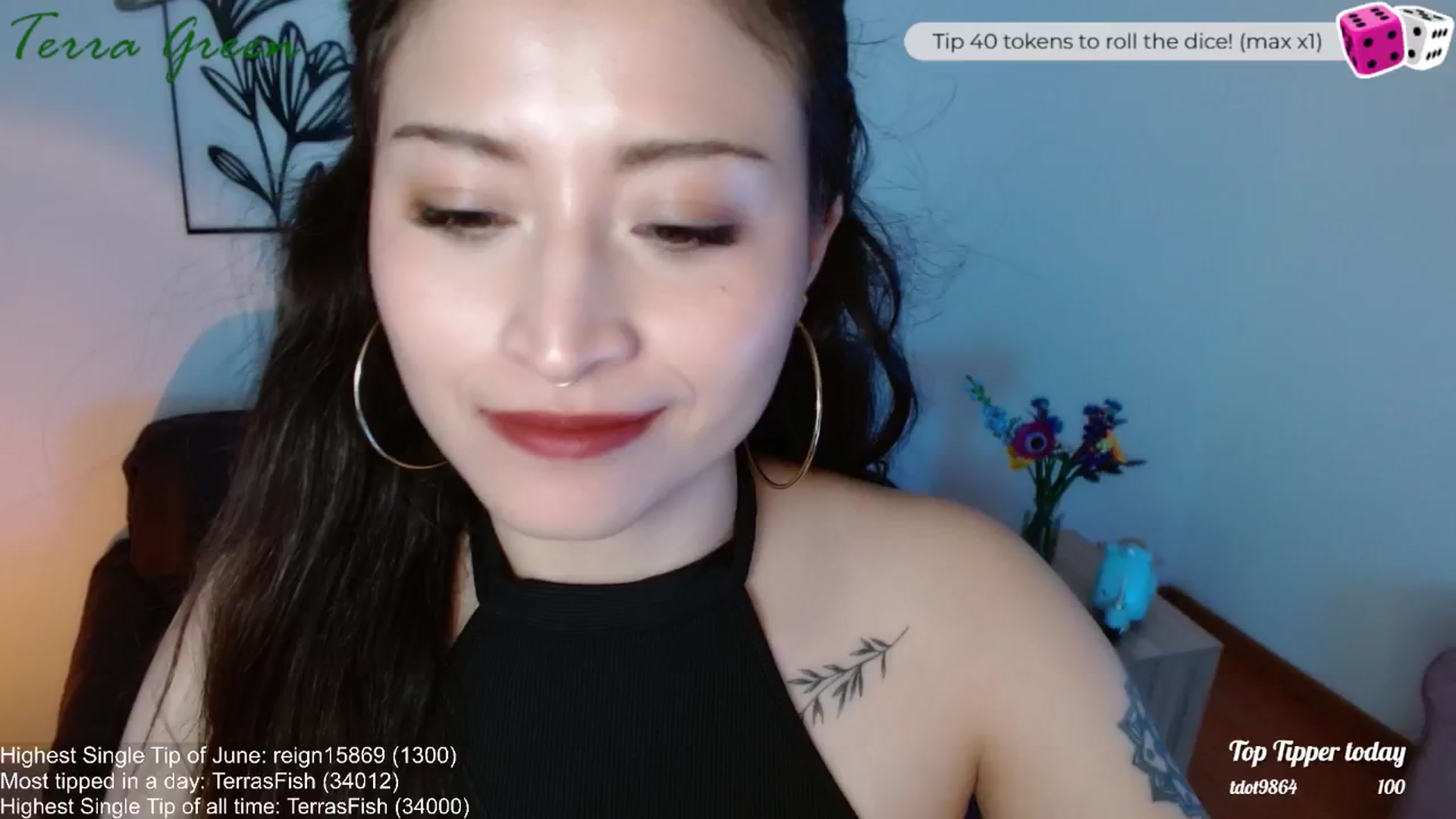 Gallery image thumbnail from TerraGreen's myfreecams stream on, 06/14/2024, 22:15 image 1 of 20