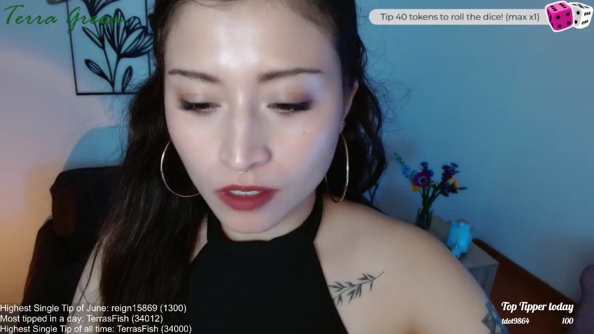 Gallery image thumbnail from TerraGreen's myfreecams stream on, 06/14/2024, 22:15 image 2 of 20