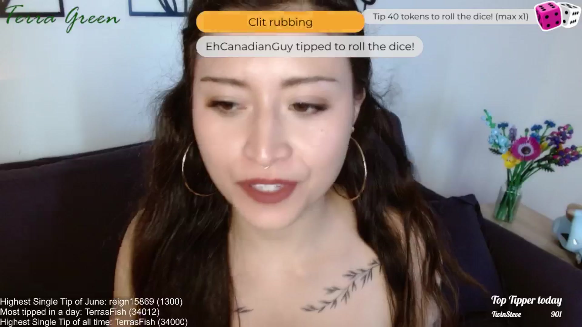 Gallery image thumbnail from TerraGreen's myfreecams stream on, 06/14/2024, 23:15 image 12 of 20