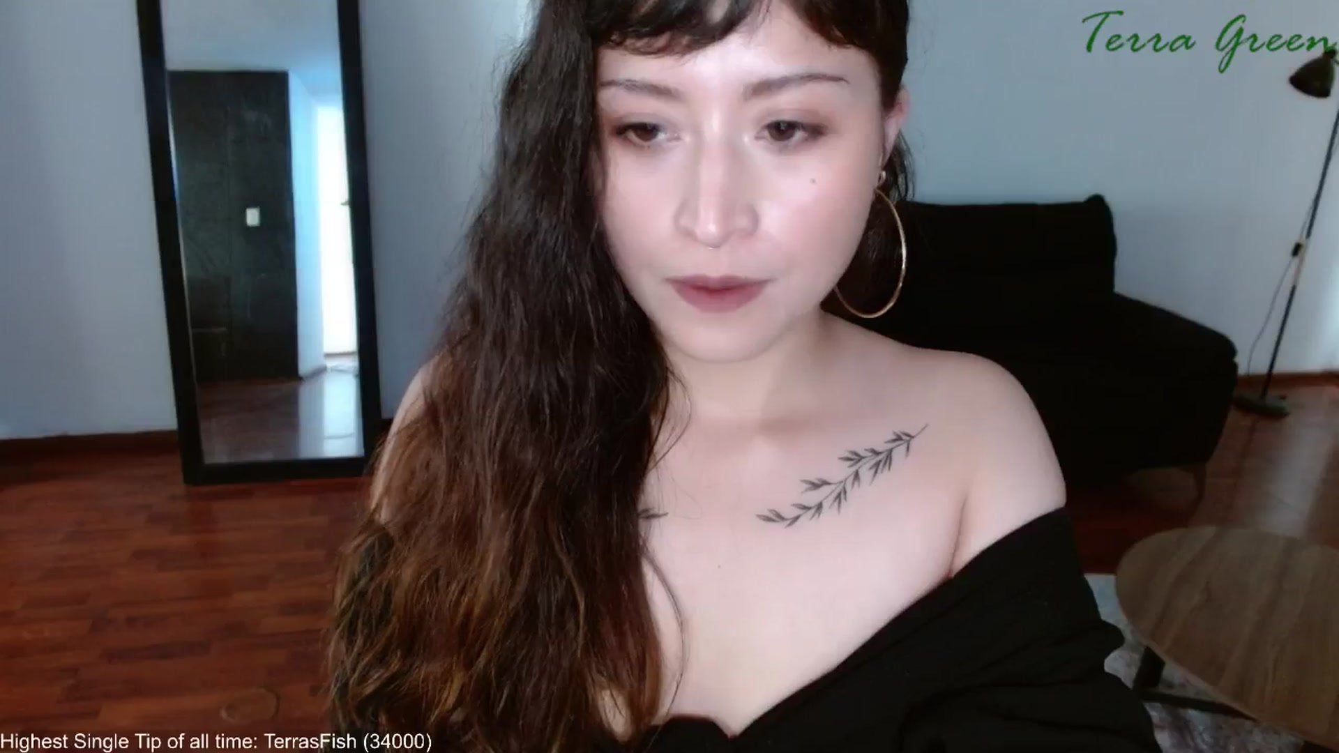Gallery image thumbnail from TerraGreen's myfreecams stream on, 08/08/2024, 20:32 image 3 of 20