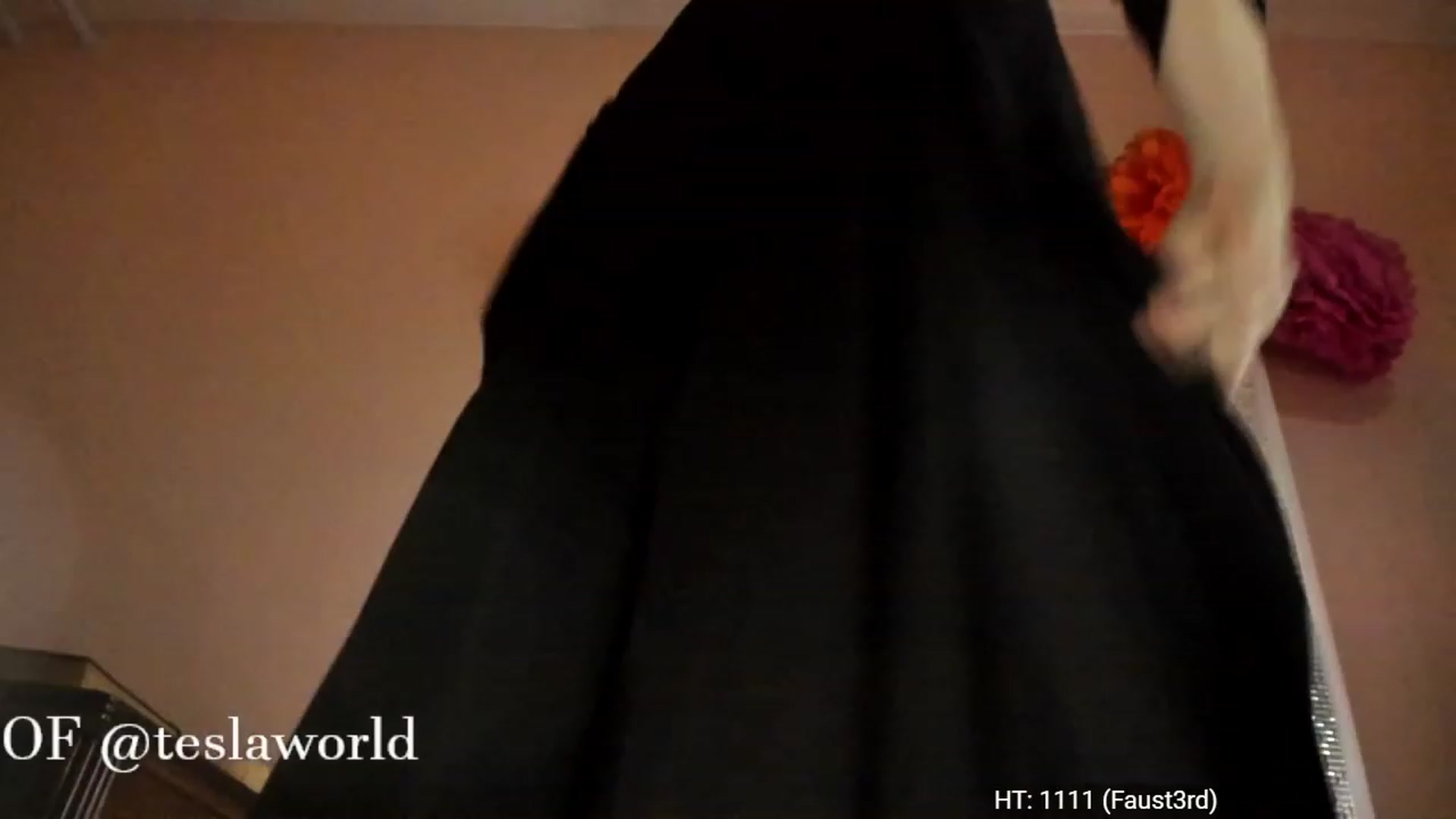 Gallery image thumbnail from Tesla's myfreecams stream on, 11/20/2022, 05:50 image 18 of 20