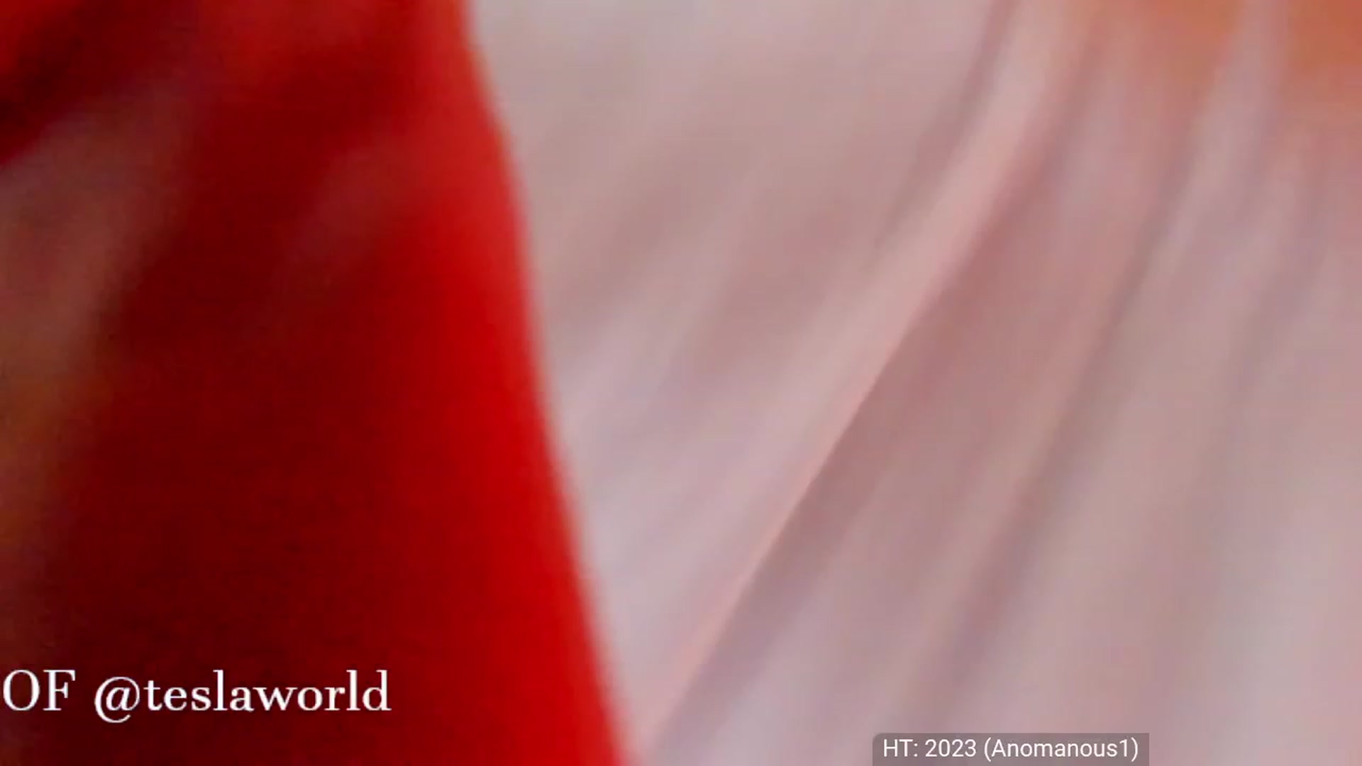 Gallery image thumbnail from Tesla's myfreecams stream on, 01/01/2023, 07:10 image 16 of 20