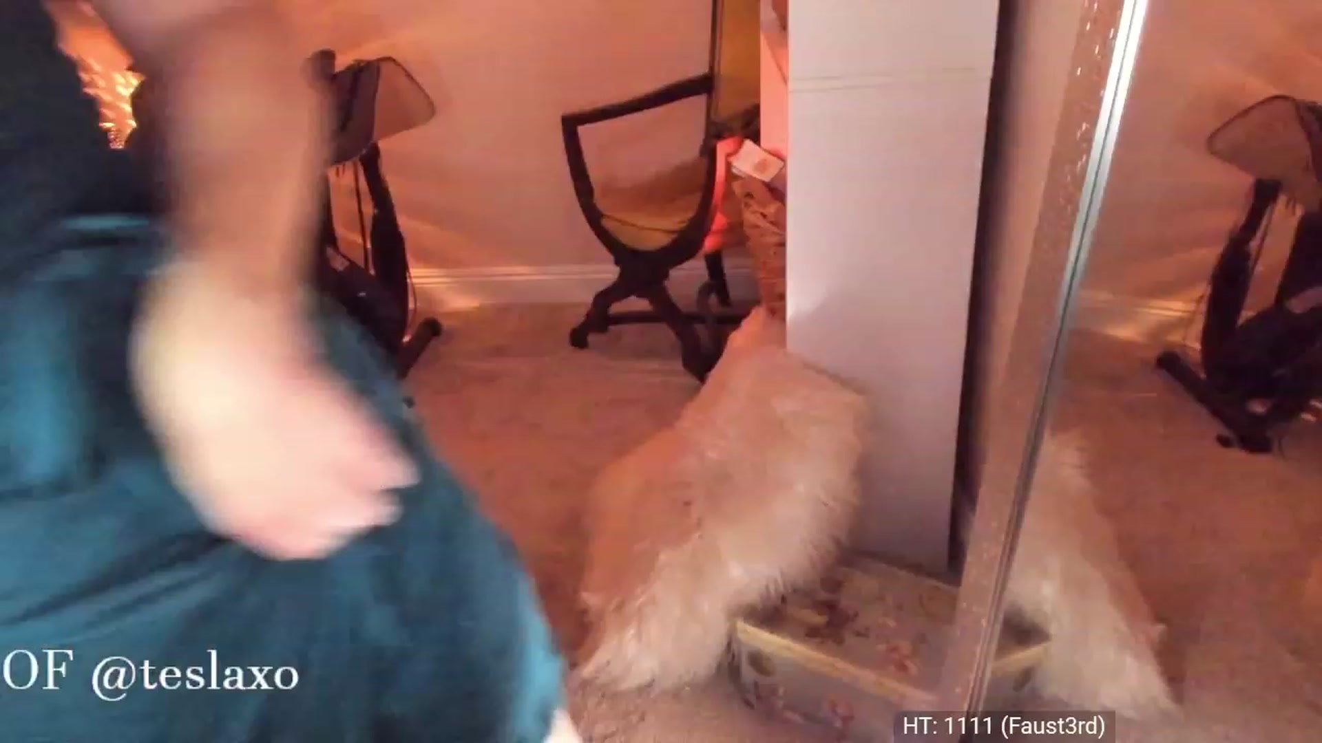 Gallery image thumbnail from Tesla's myfreecams stream on, 05/27/2023, 05:28 image 16 of 20
