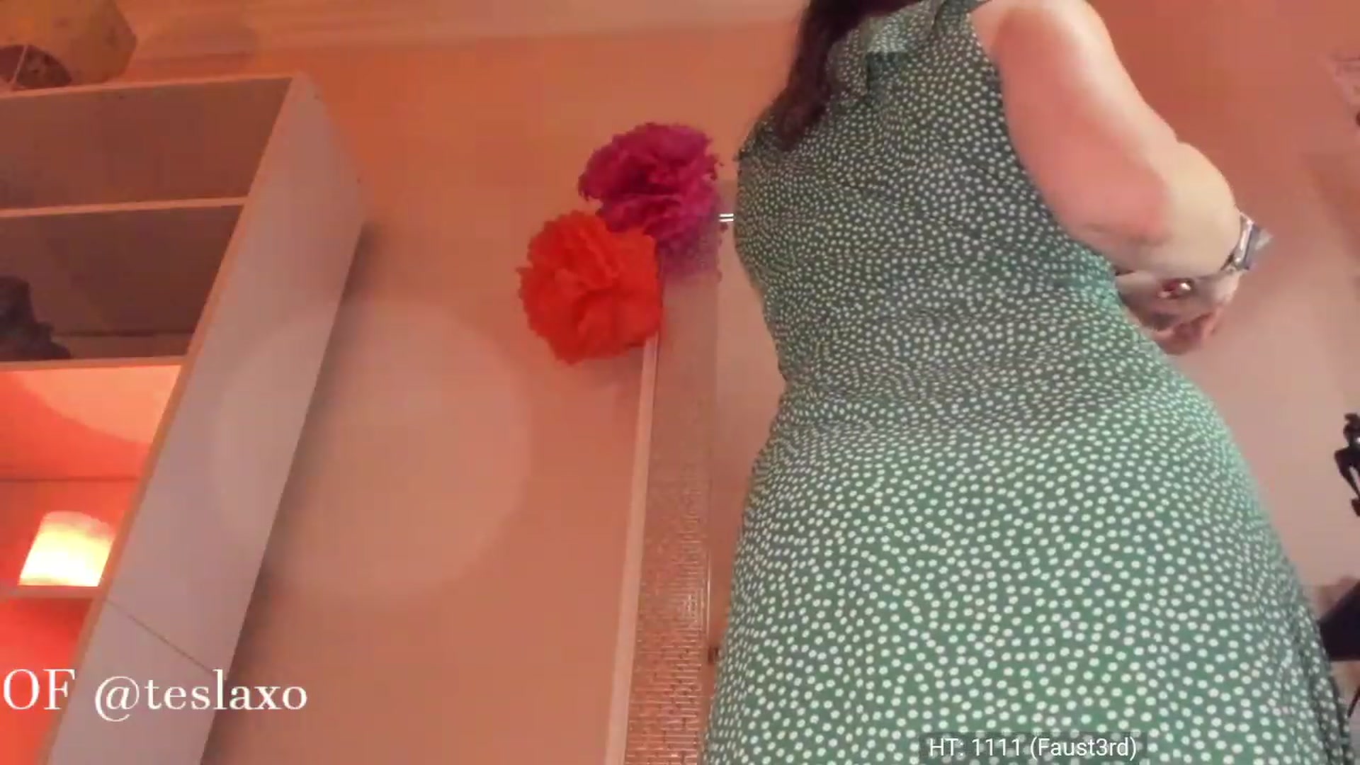 Gallery image thumbnail from Tesla's myfreecams stream on, 06/09/2023, 05:33 image 11 of 20