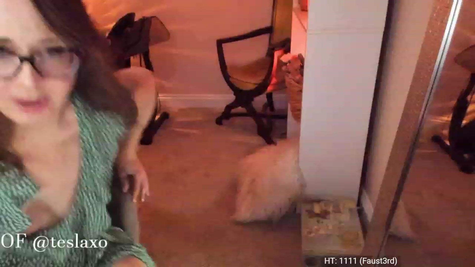 Gallery image thumbnail from Tesla's myfreecams stream on, 06/09/2023, 05:33 image 3 of 20