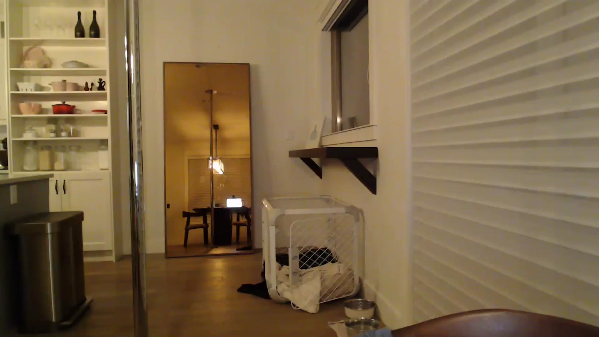 Gallery image thumbnail from TexasReed's myfreecams stream on, 01/23/2026, 07:20 image 14 of 20