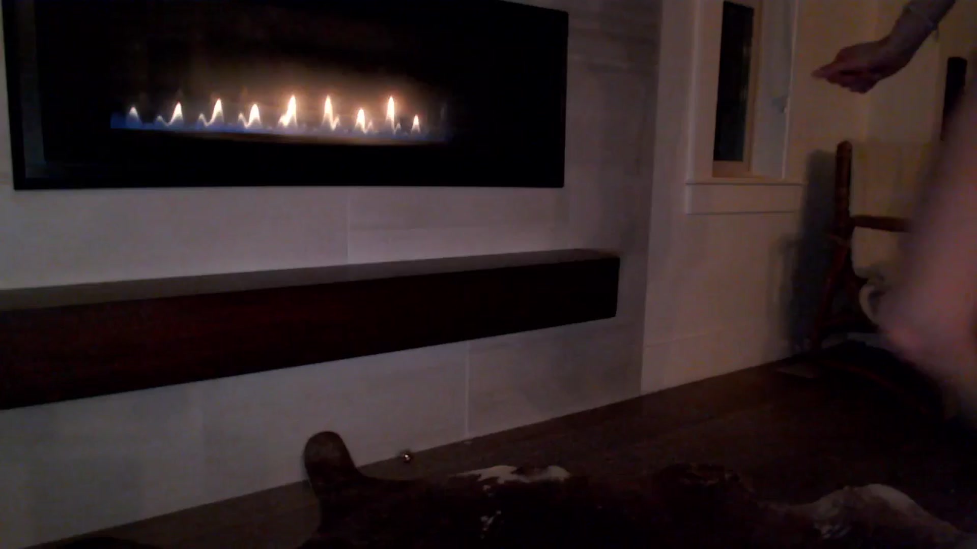Gallery image thumbnail from TexasReed's myfreecams stream on, 03/14/2026, 06:37 image 1 of 20