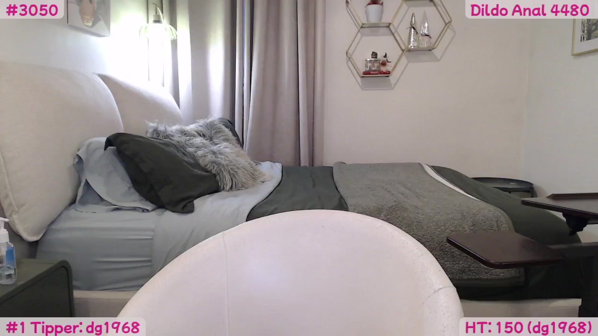 Gallery image thumbnail from Th0tProcess's myfreecams stream on, 01/10/2026, 23:34 image 17 of 20