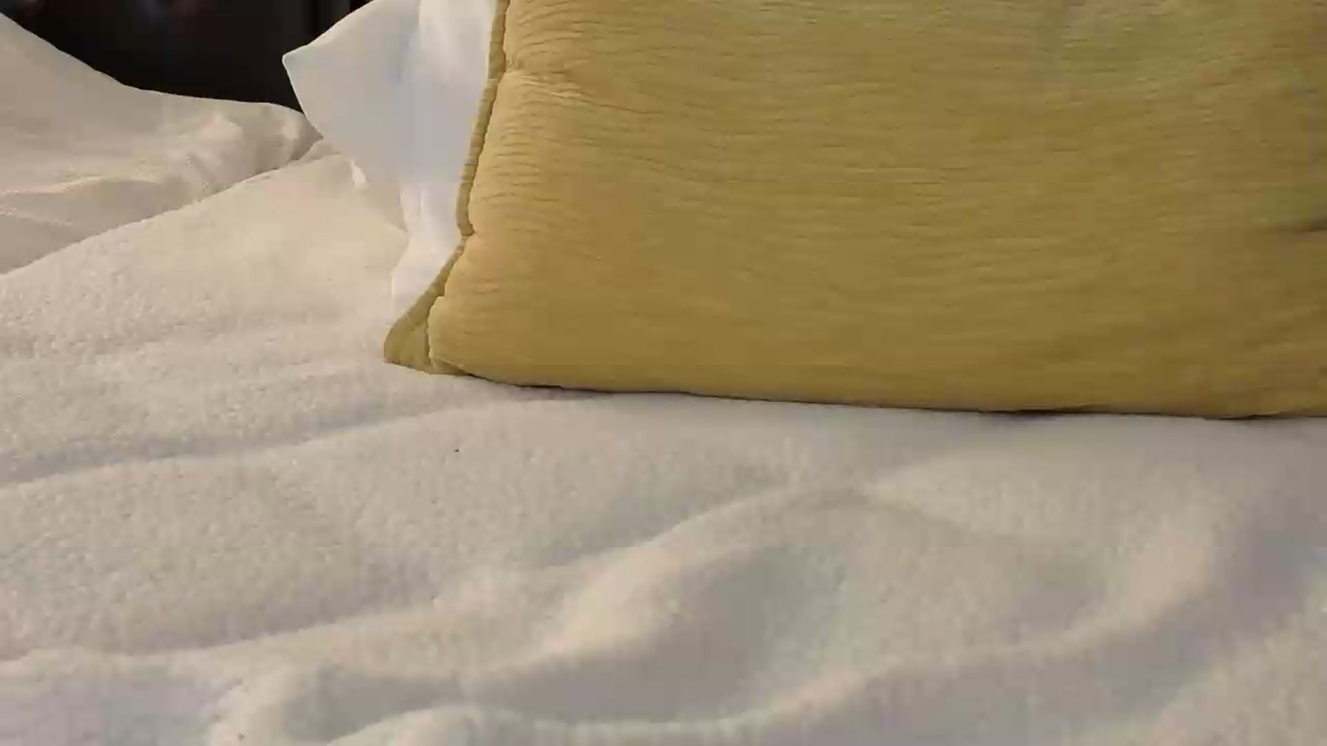 Gallery image thumbnail from Thaispice's myfreecams stream on, 06/22/2026, 02:52 image 1 of 20