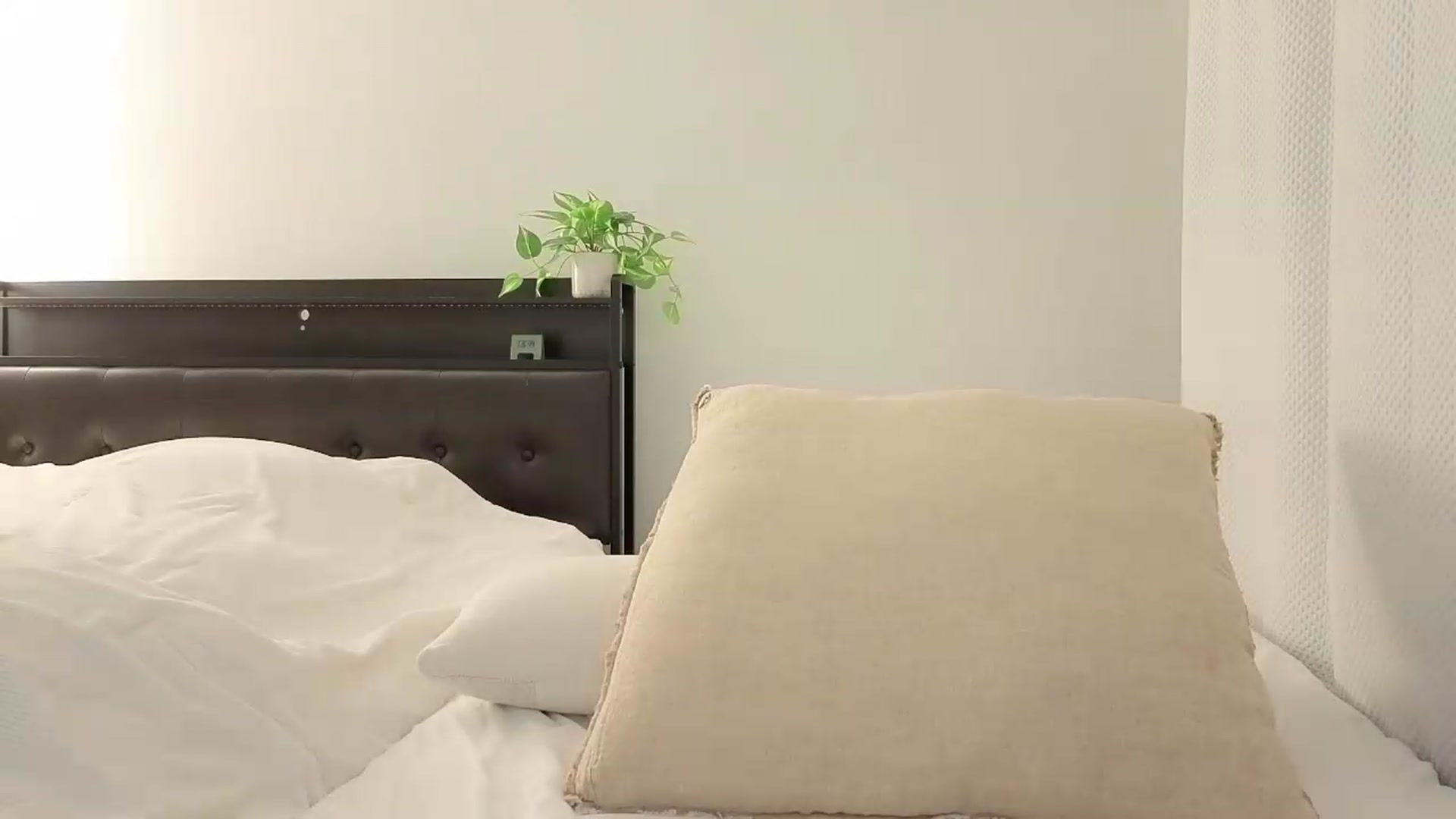 Gallery image thumbnail from Thaispice's myfreecams stream on, 08/11/2026, 24:00 image 8 of 20