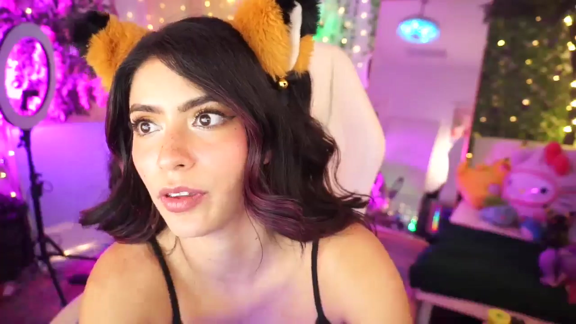 Gallery image thumbnail from TheCatCo's myfreecams stream on, 02/11/2025, 11:11 image 16 of 20
