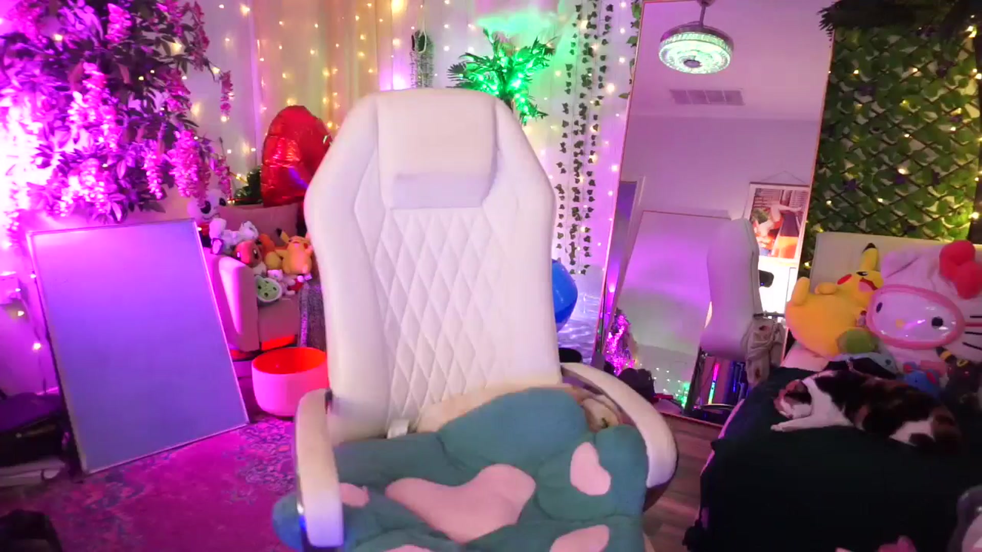Gallery image thumbnail from TheCatCo's myfreecams stream on, 02/15/2025, 08:10 image 13 of 20