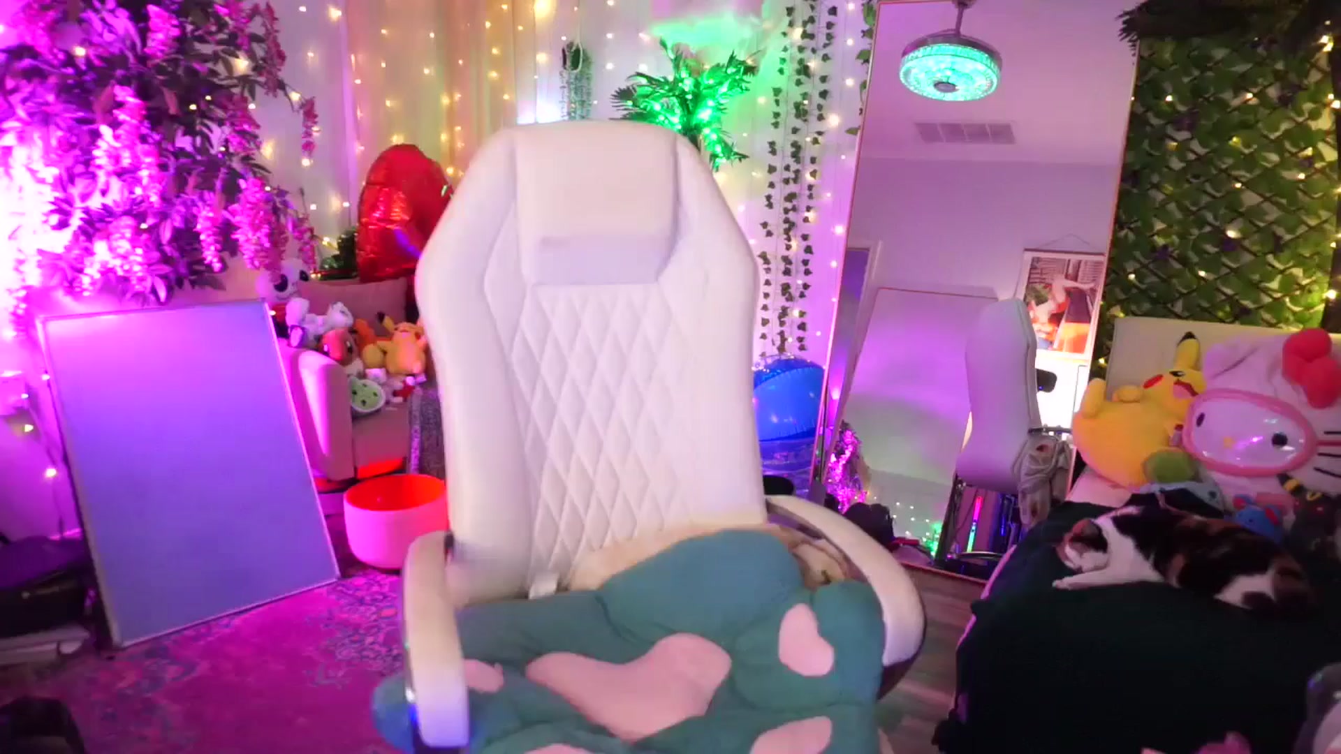 Gallery image thumbnail from TheCatCo's myfreecams stream on, 02/15/2025, 08:10 image 14 of 20