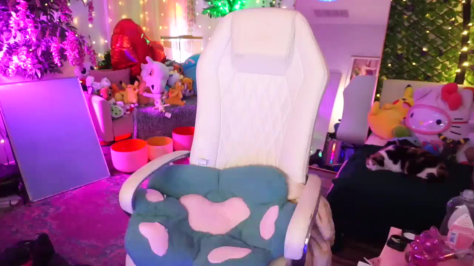 Gallery image thumbnail from TheCatCo's myfreecams stream on, 02/15/2025, 08:10 image 3 of 20