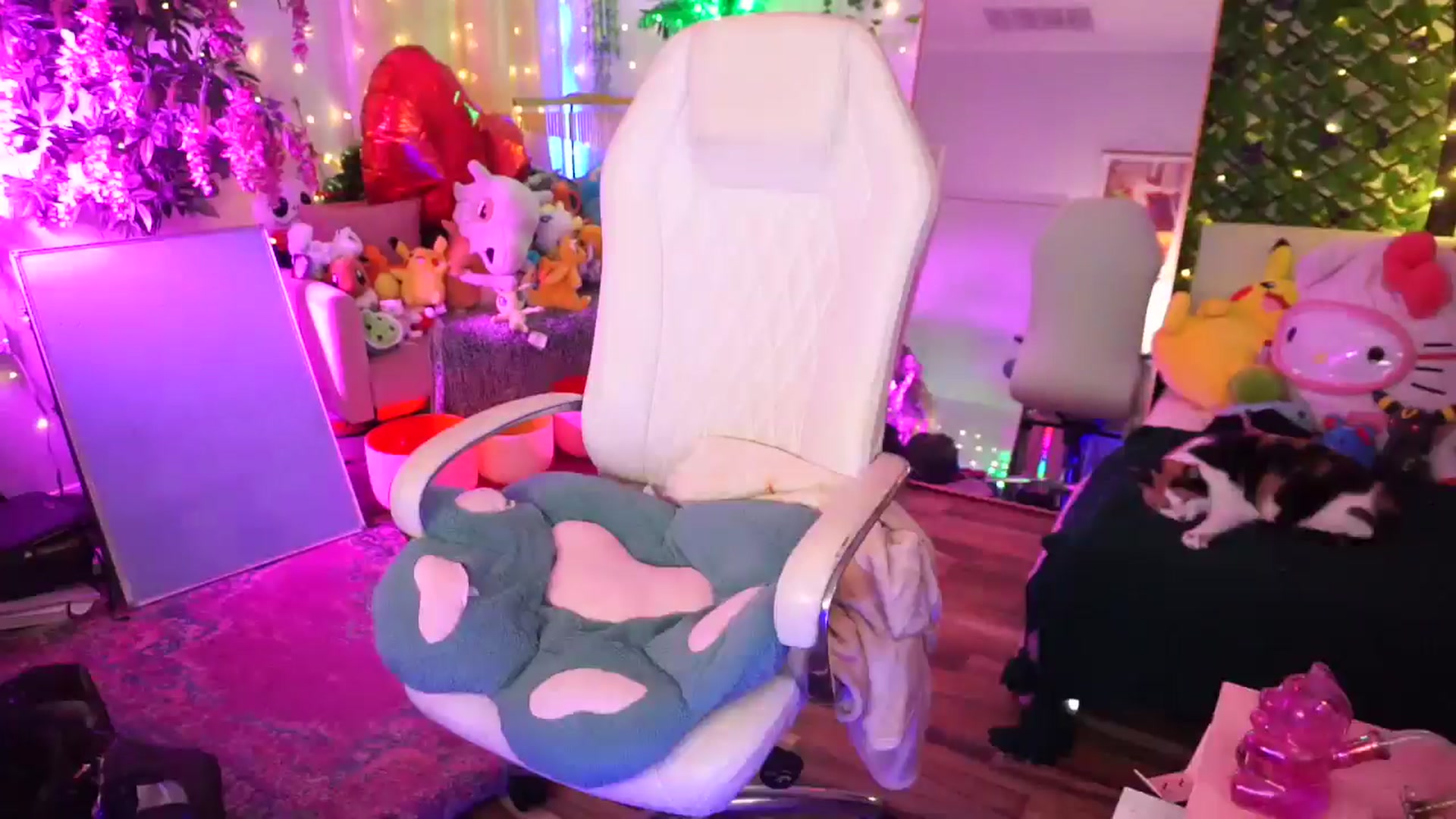 Gallery image thumbnail from TheCatCo's myfreecams stream on, 02/15/2025, 09:11 image 12 of 20