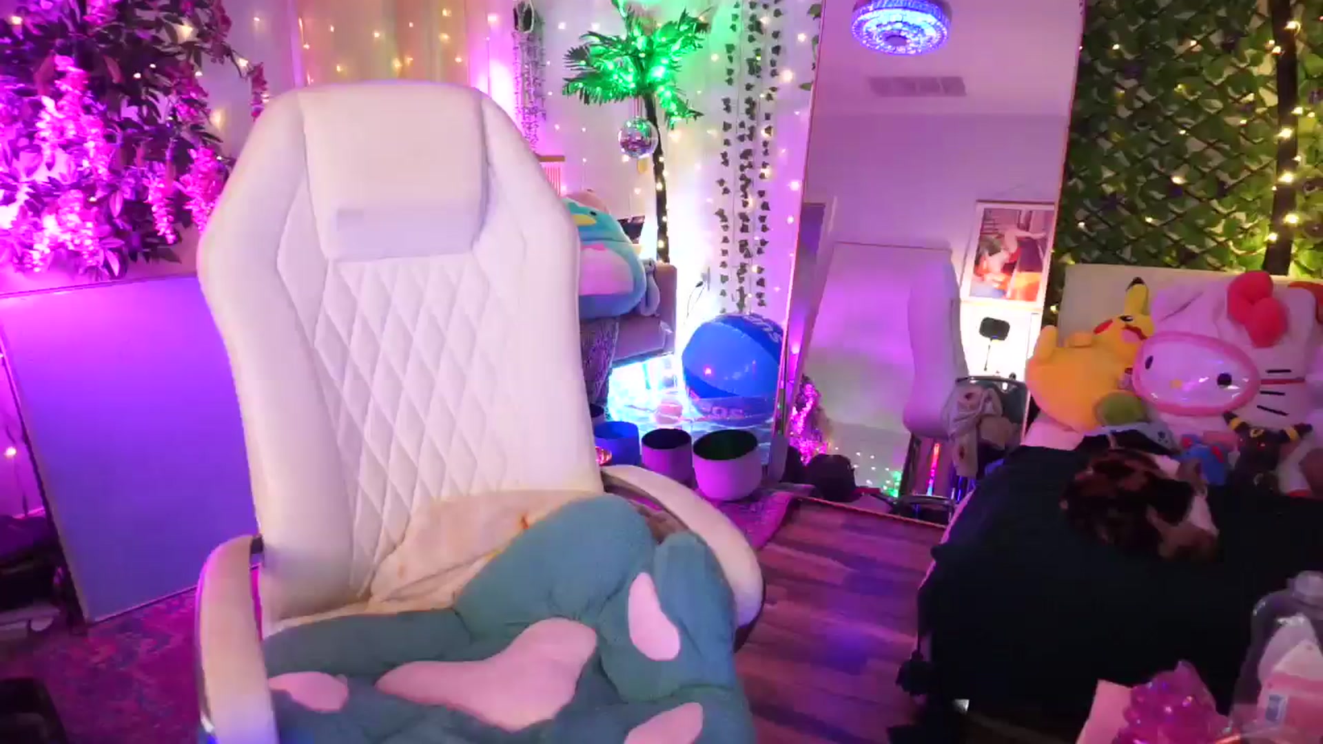Gallery image thumbnail from TheCatCo's myfreecams stream on, 02/15/2025, 09:11 image 2 of 20