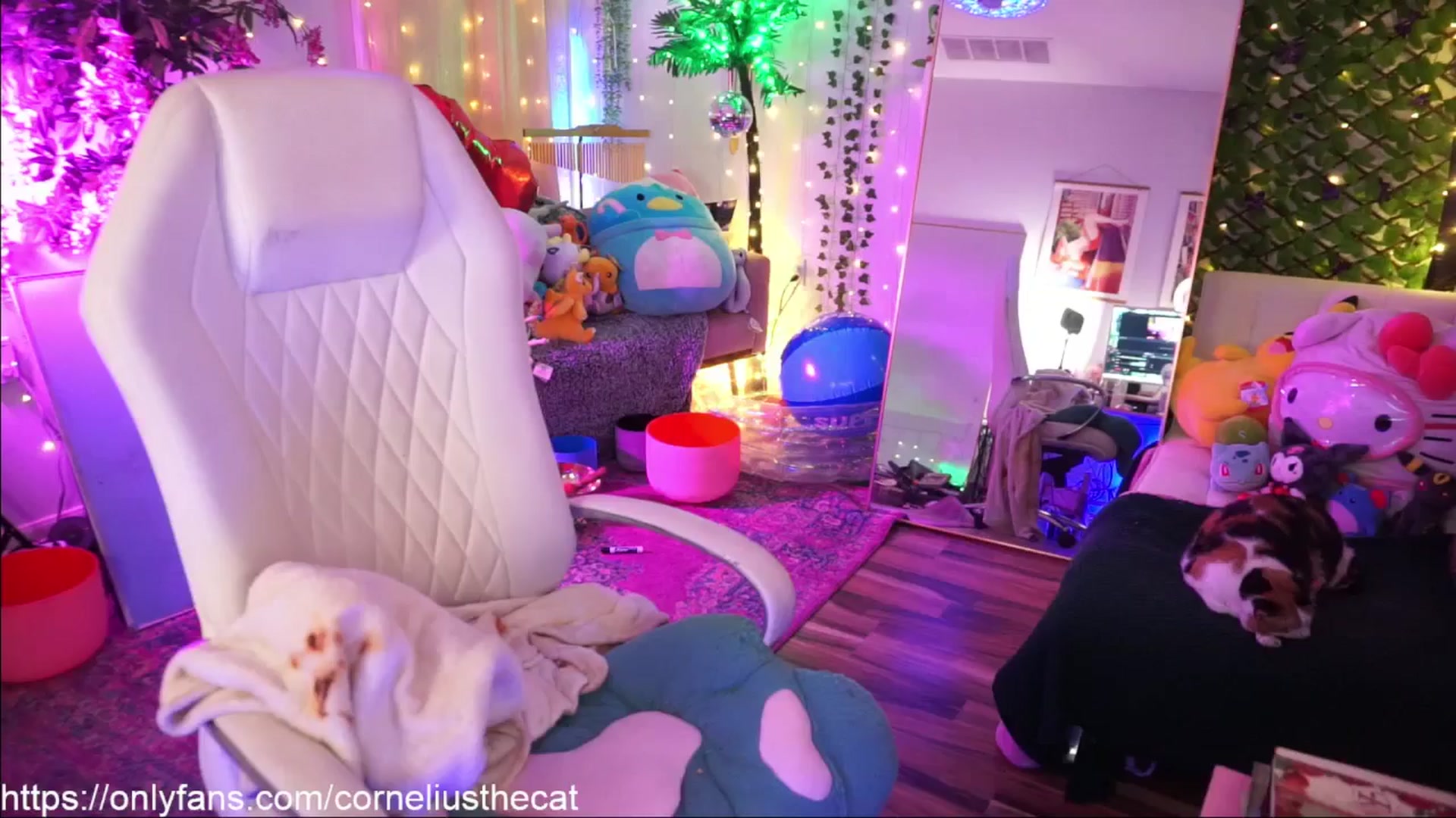 Gallery image thumbnail from TheCatCo's myfreecams stream on, 03/07/2025, 12:02 image 11 of 20