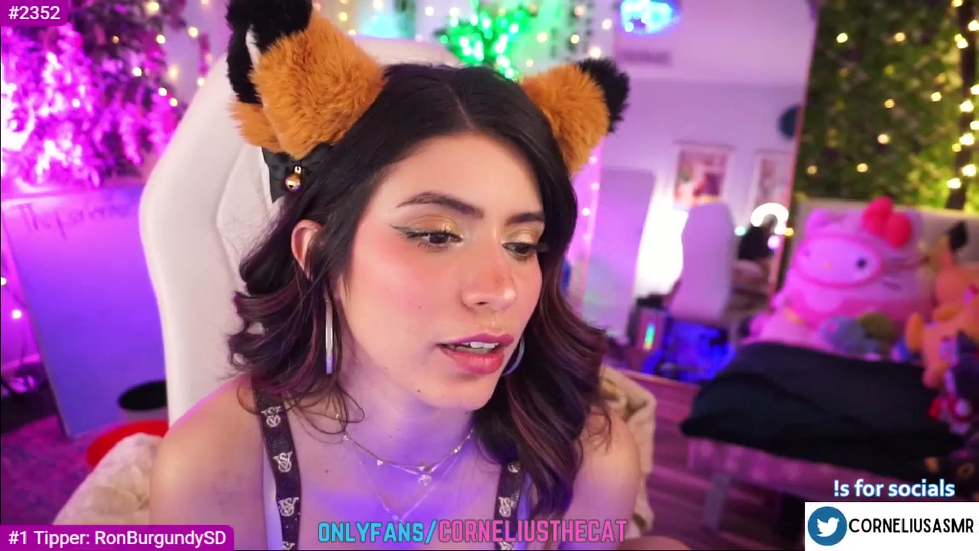Gallery image thumbnail from TheCatCo's myfreecams stream on, 03/09/2025, 10:05 image 12 of 20
