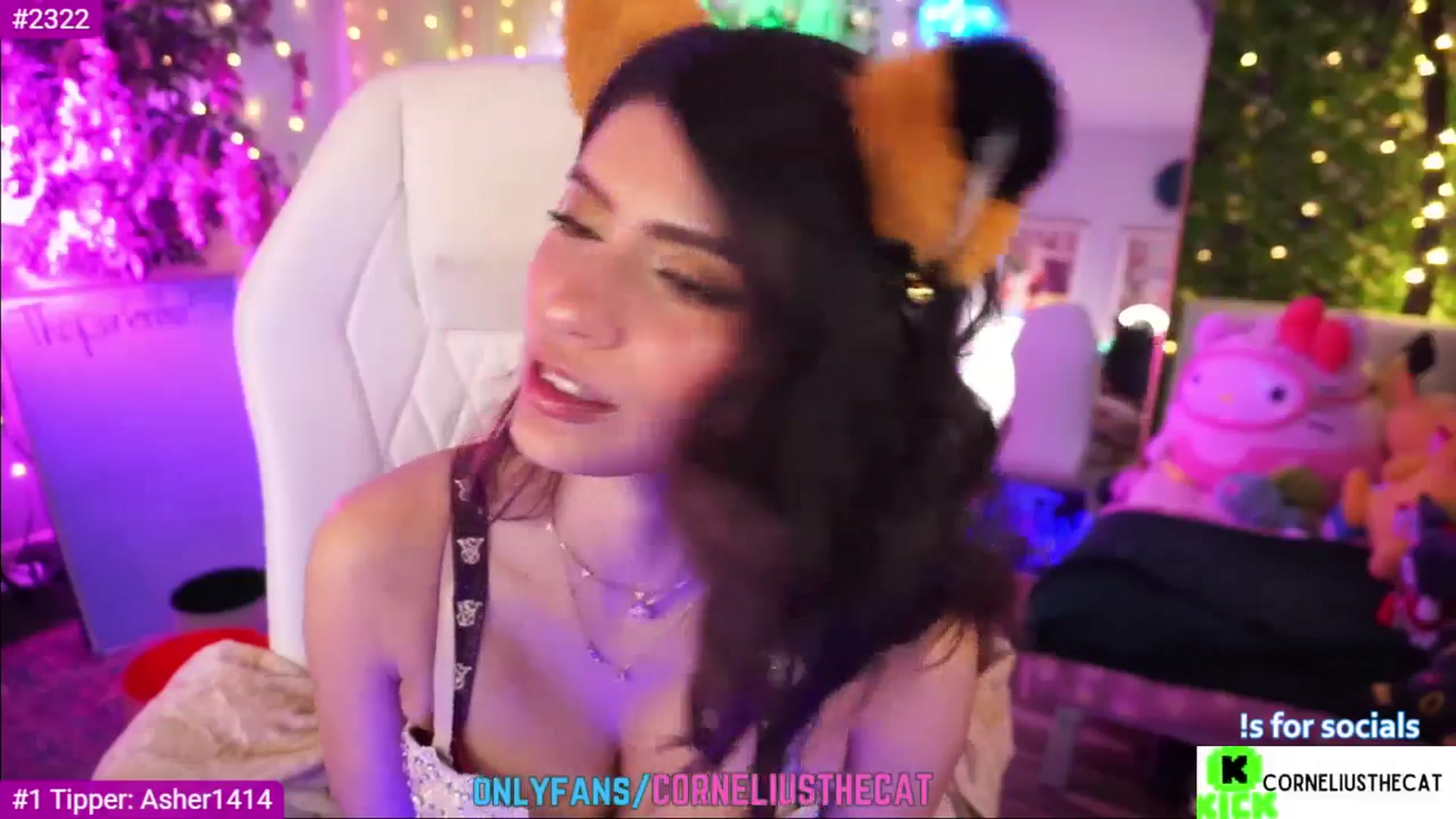 Gallery image thumbnail from TheCatCo's myfreecams stream on, 03/09/2025, 10:05 image 13 of 20