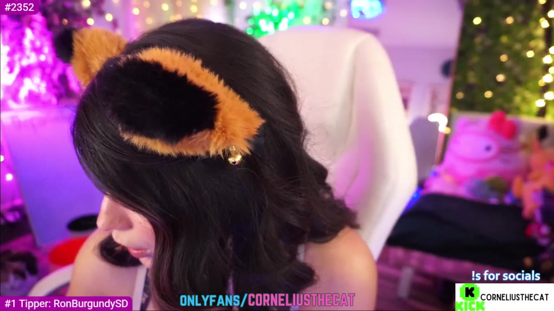 Gallery image thumbnail from TheCatCo's myfreecams stream on, 03/09/2025, 10:05 image 9 of 20