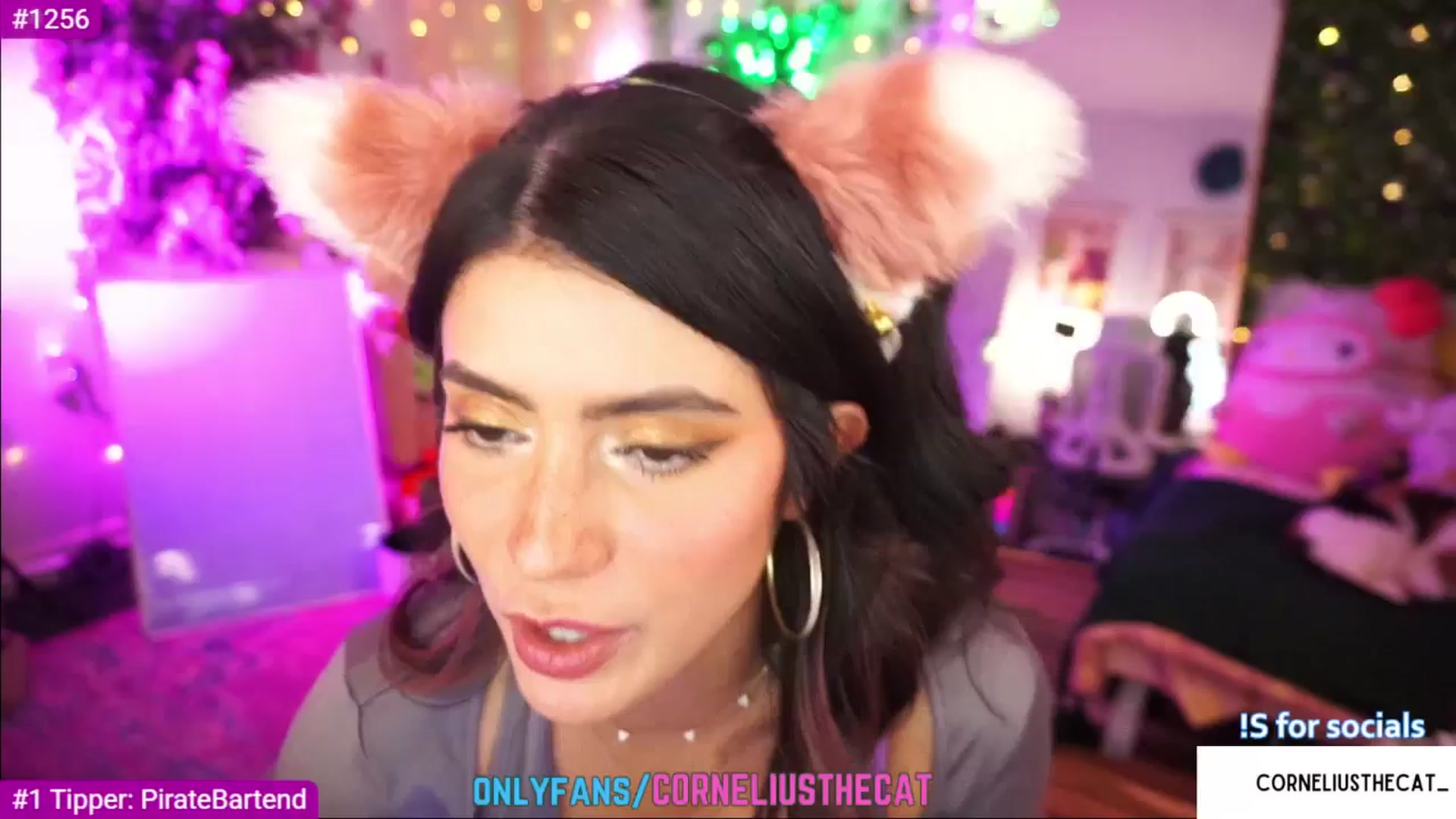 Gallery image thumbnail from TheCatCo's myfreecams stream on, 05/10/2025, 07:32 image 16 of 20