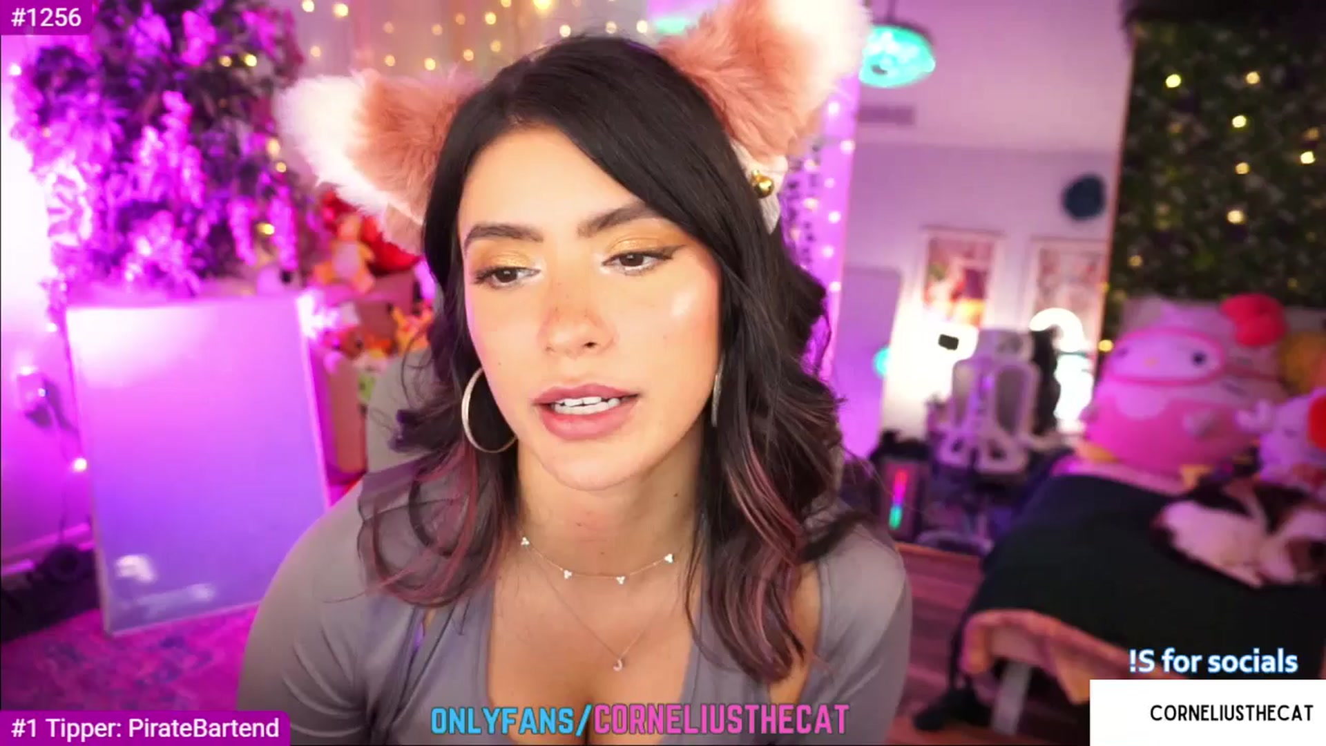 Gallery image thumbnail from TheCatCo's myfreecams stream on, 05/10/2025, 07:32 image 19 of 20