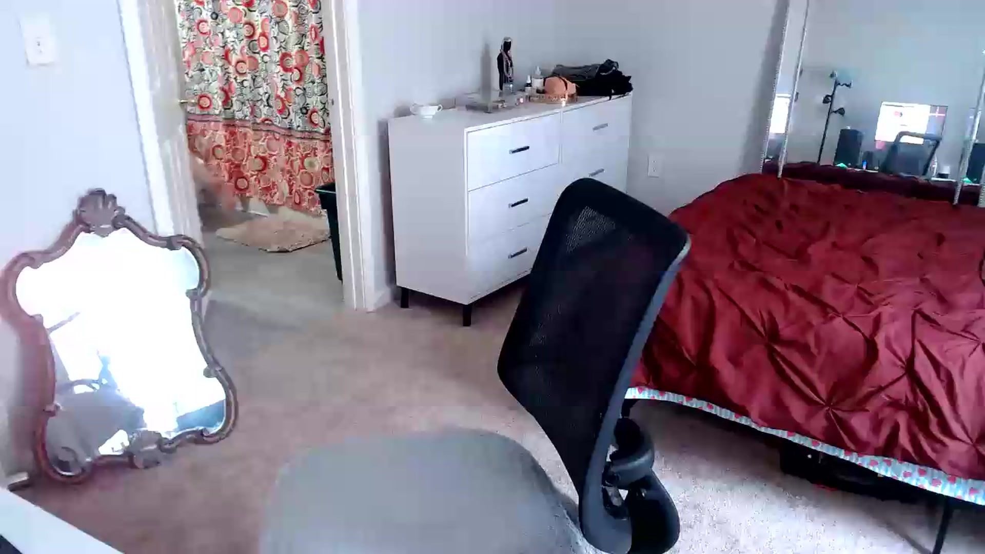 Gallery image thumbnail from TheFuckFairy's myfreecams stream on, 08/09/2026, 15:45 image 1 of 20