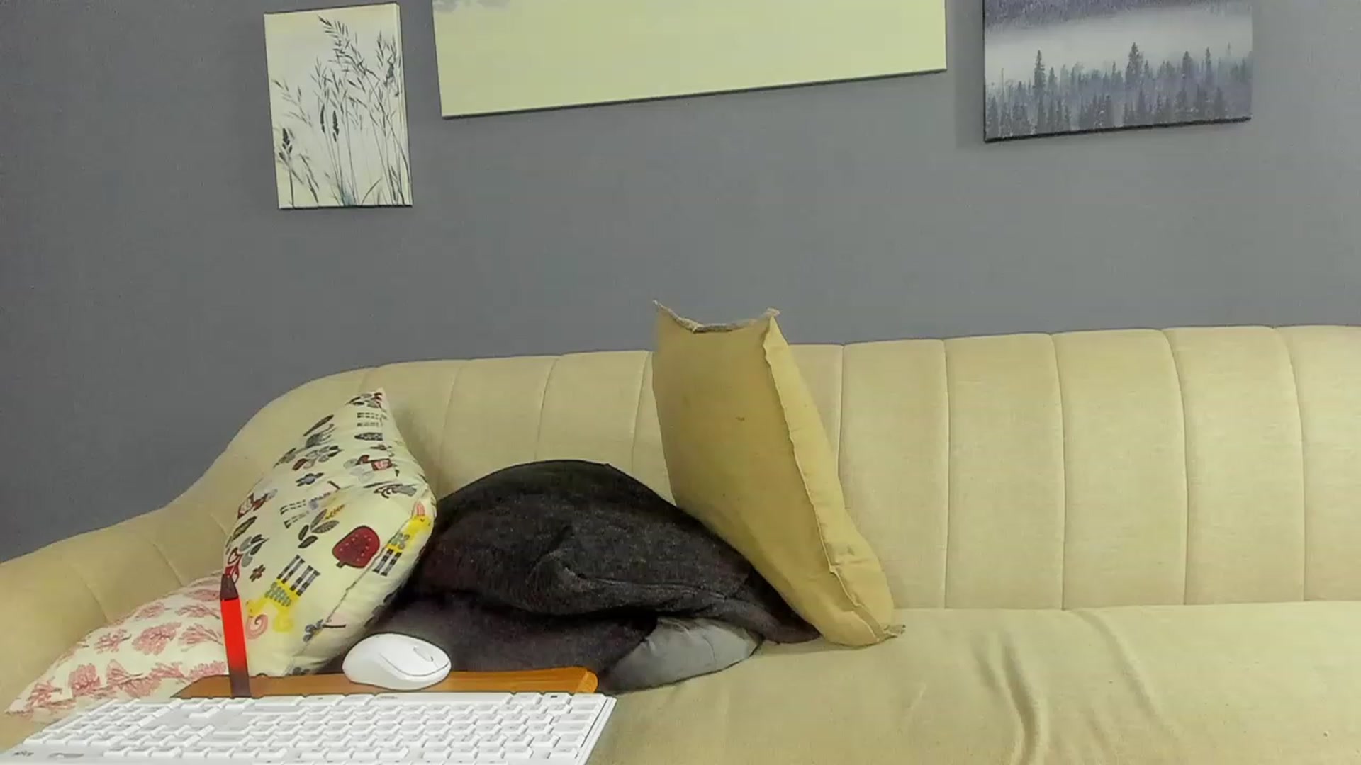 Gallery image thumbnail from TheJoyShow's myfreecams stream on, 12/03/2022, 20:08 image 14 of 20