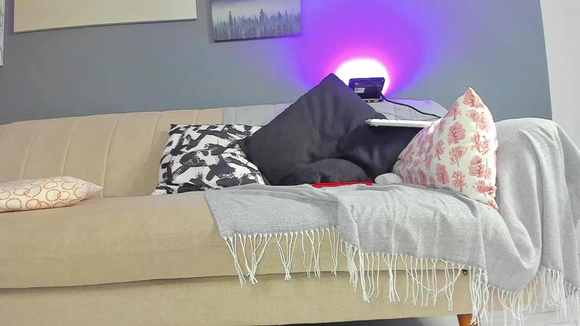 Gallery image thumbnail from TheJoyShow's myfreecams stream on, 12/13/2022, 24:55 image 3 of 20