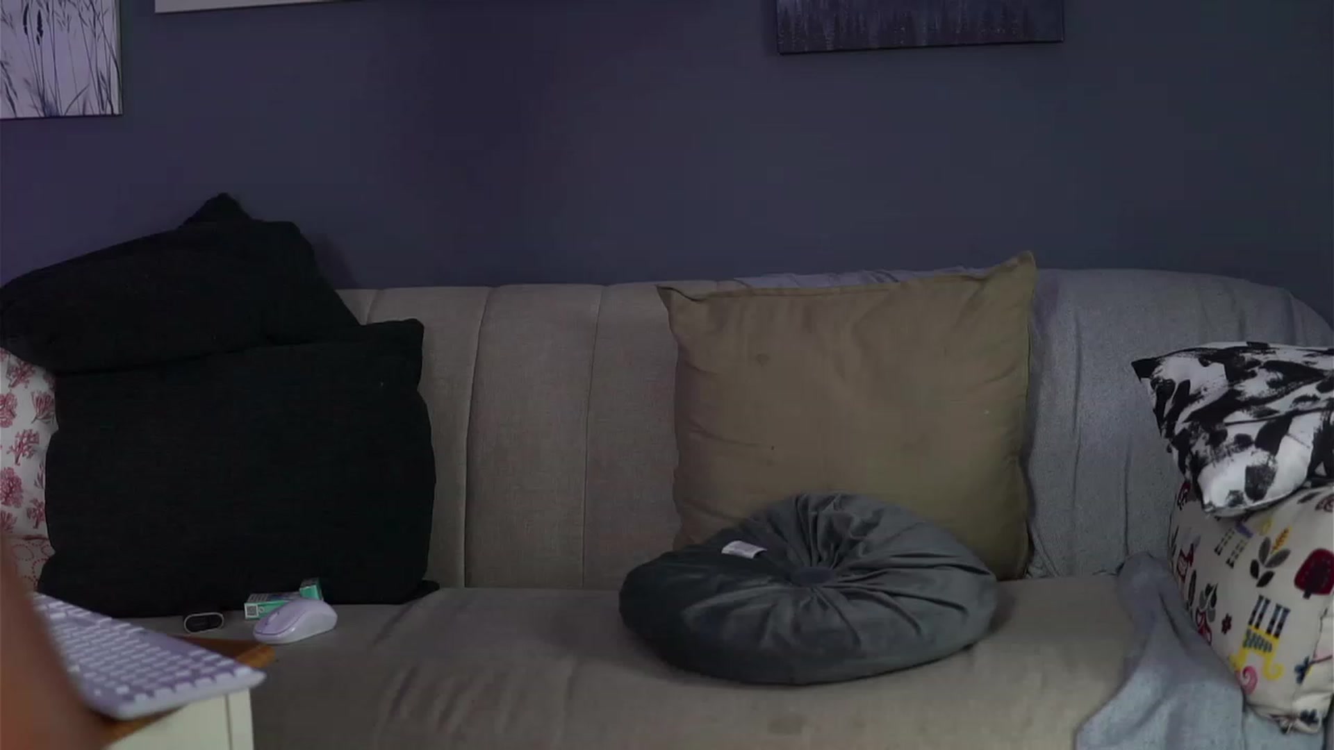 Gallery image thumbnail from TheJoyShow's myfreecams stream on, 12/30/2022, 24:05 image 14 of 20