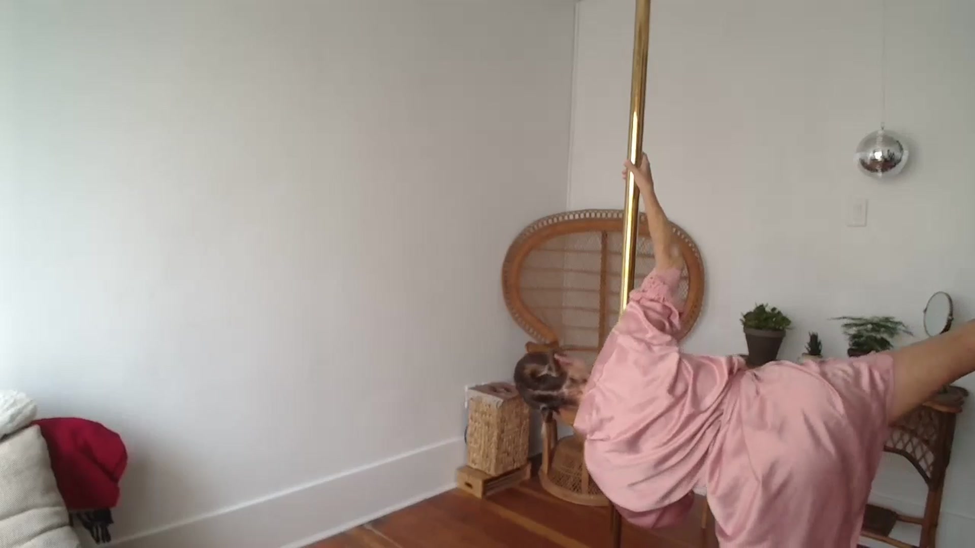 Gallery image thumbnail from TheMaytrix's myfreecams stream on, 07/27/2024, 18:30 image 6 of 20
