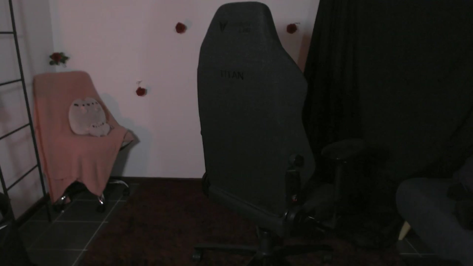 Gallery image thumbnail from TheModel's myfreecams stream on, 03/28/2024, 01:07 image 1 of 20