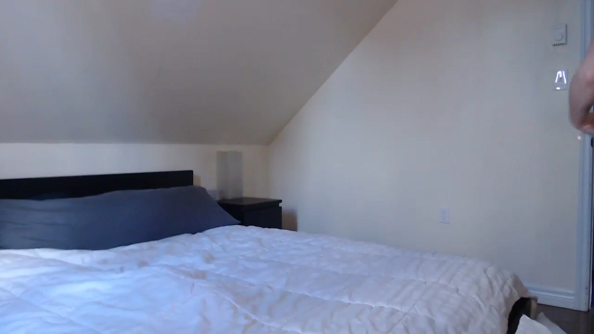 Gallery image thumbnail from TheNudeArtist's myfreecams stream on, 12/12/2023, 16:23 image 19 of 20