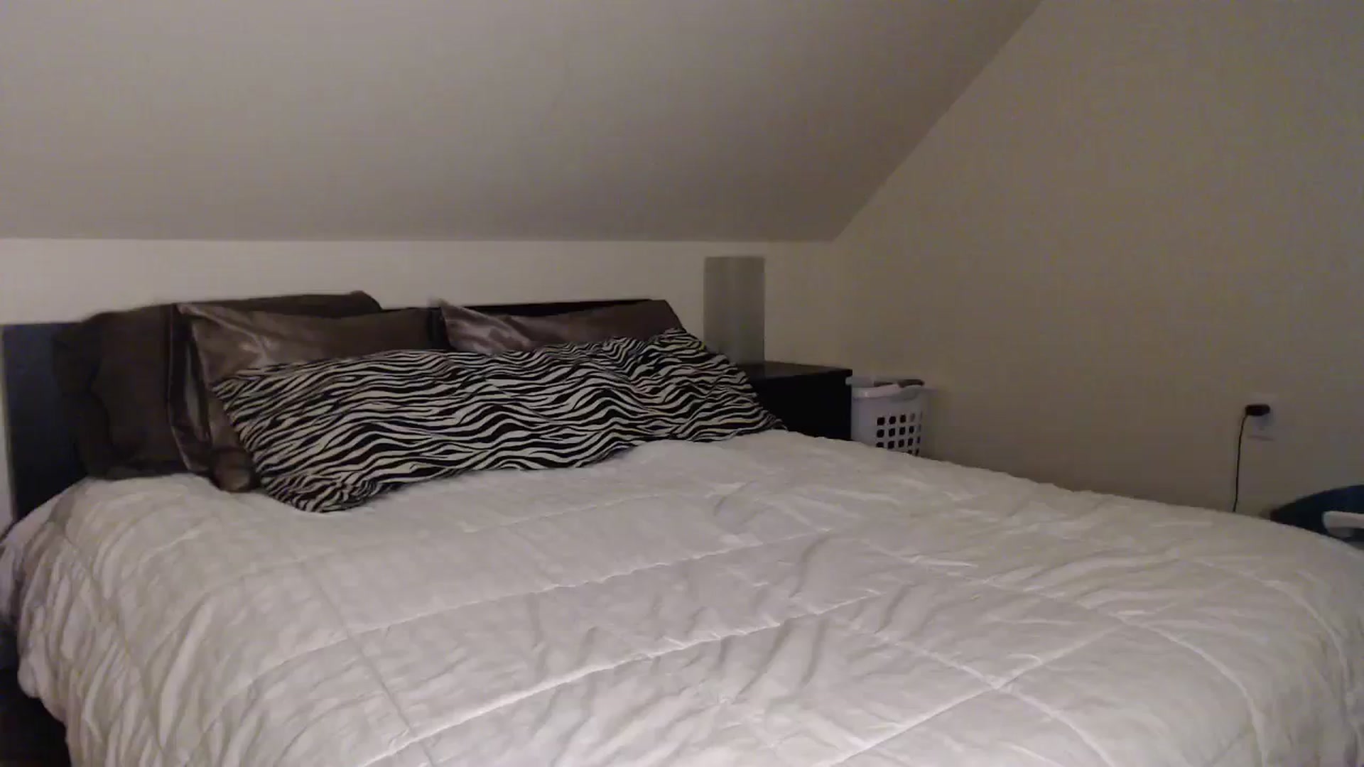 Gallery image thumbnail from TheNudeArtist's myfreecams stream on, 12/20/2023, 23:13 image 7 of 20