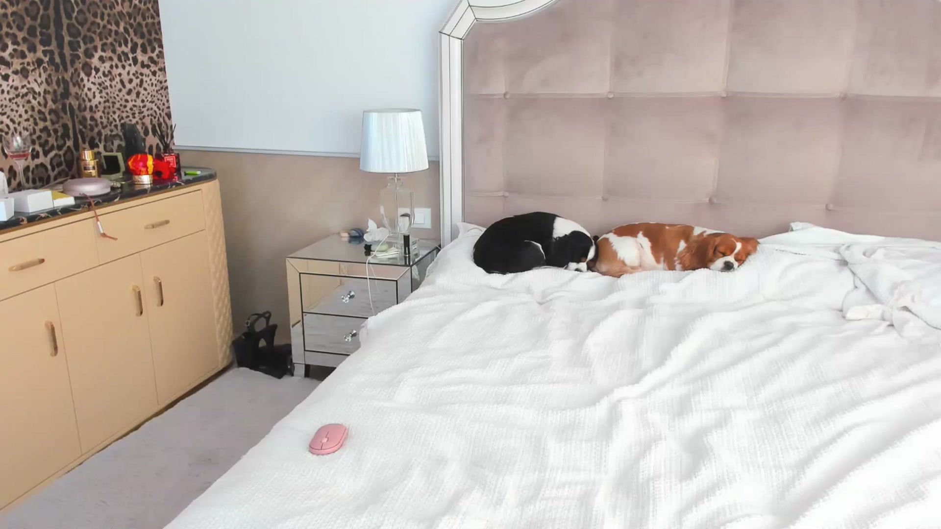 Gallery image thumbnail from TheOwneress's myfreecams stream on, 05/20/2025, 16:49 image 17 of 20