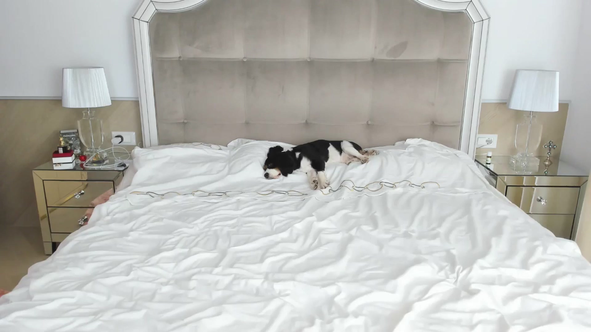 Gallery image thumbnail from TheOwneress's myfreecams stream on, 06/04/2025, 19:40 image 7 of 20