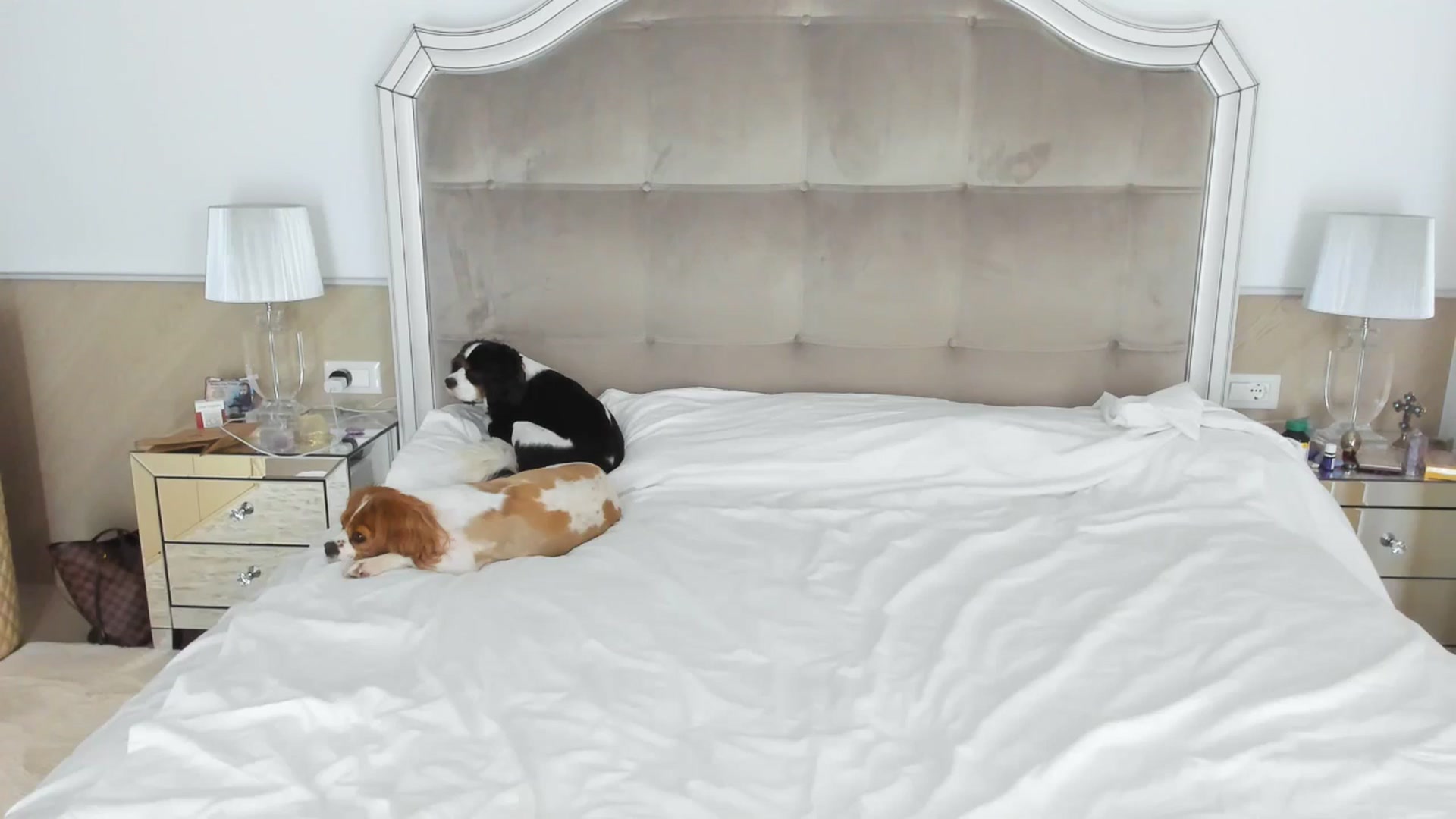 Gallery image thumbnail from TheOwneress's myfreecams stream on, 09/03/2025, 17:07 image 2 of 20