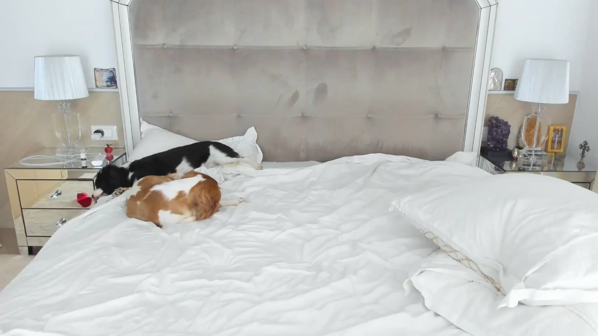 Gallery image thumbnail from TheOwneress's myfreecams stream on, 09/26/2025, 16:49 image 8 of 20