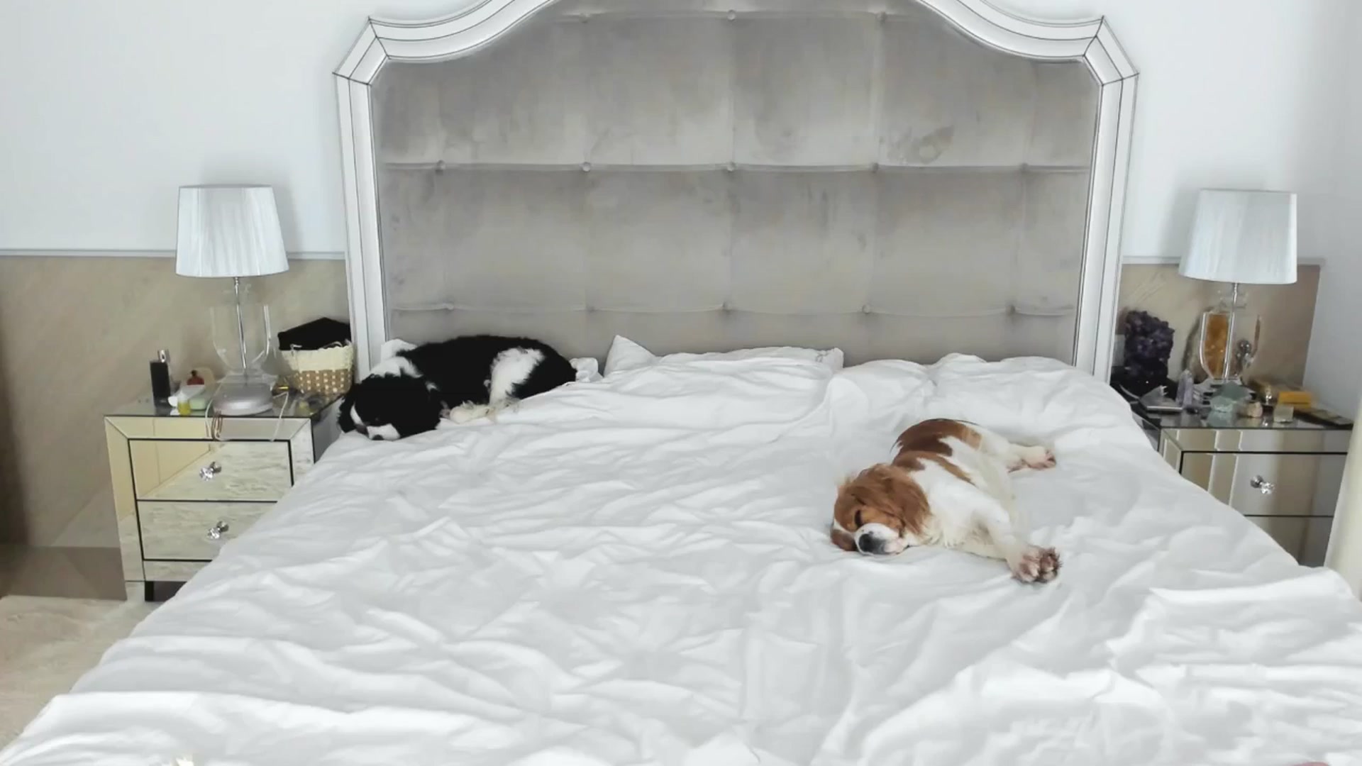 Gallery image thumbnail from TheOwneress's myfreecams stream on, 11/16/2025, 16:54 image 12 of 20