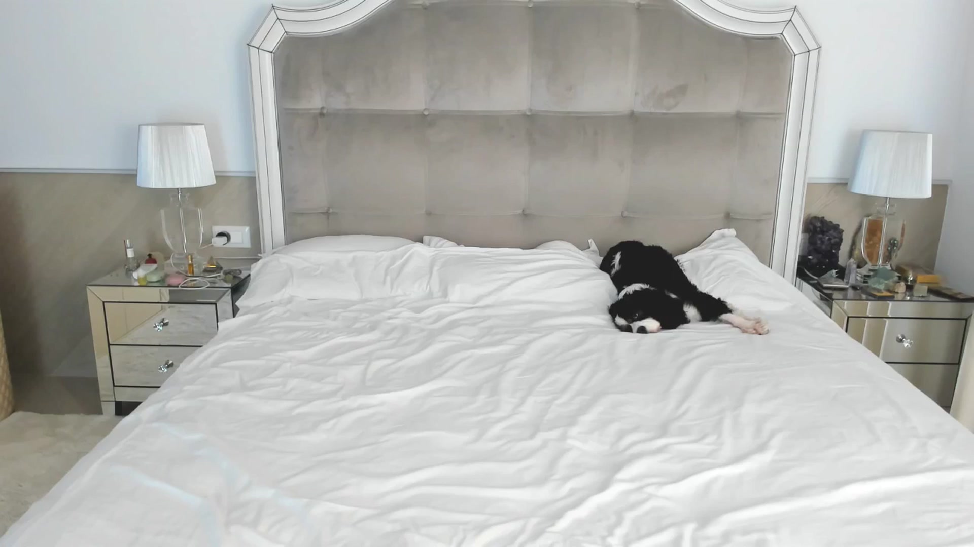 Gallery image thumbnail from TheOwneress's myfreecams stream on, 11/18/2025, 16:13 image 3 of 20
