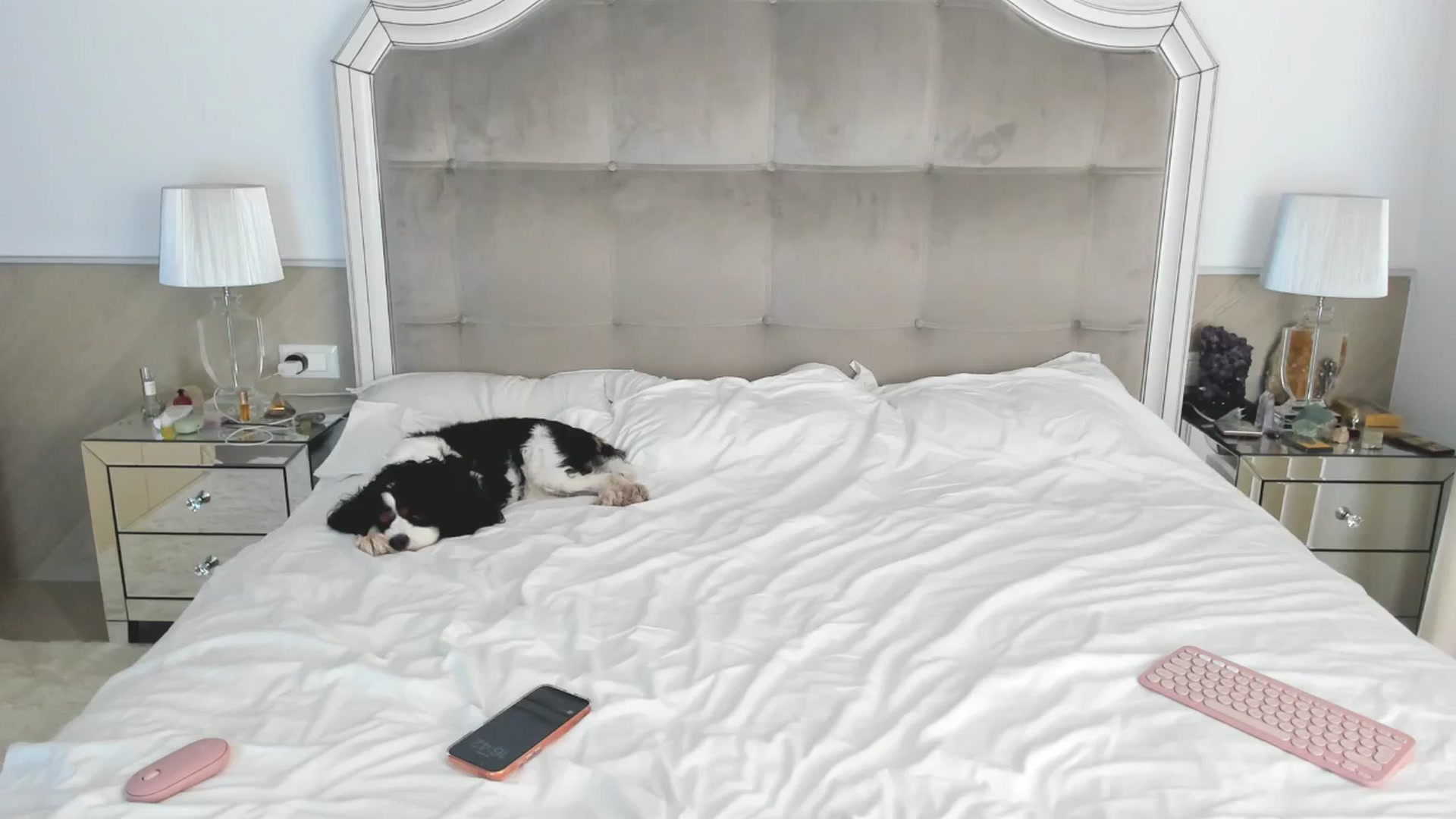 Gallery image thumbnail from TheOwneress's myfreecams stream on, 11/18/2025, 16:13 image 10 of 20