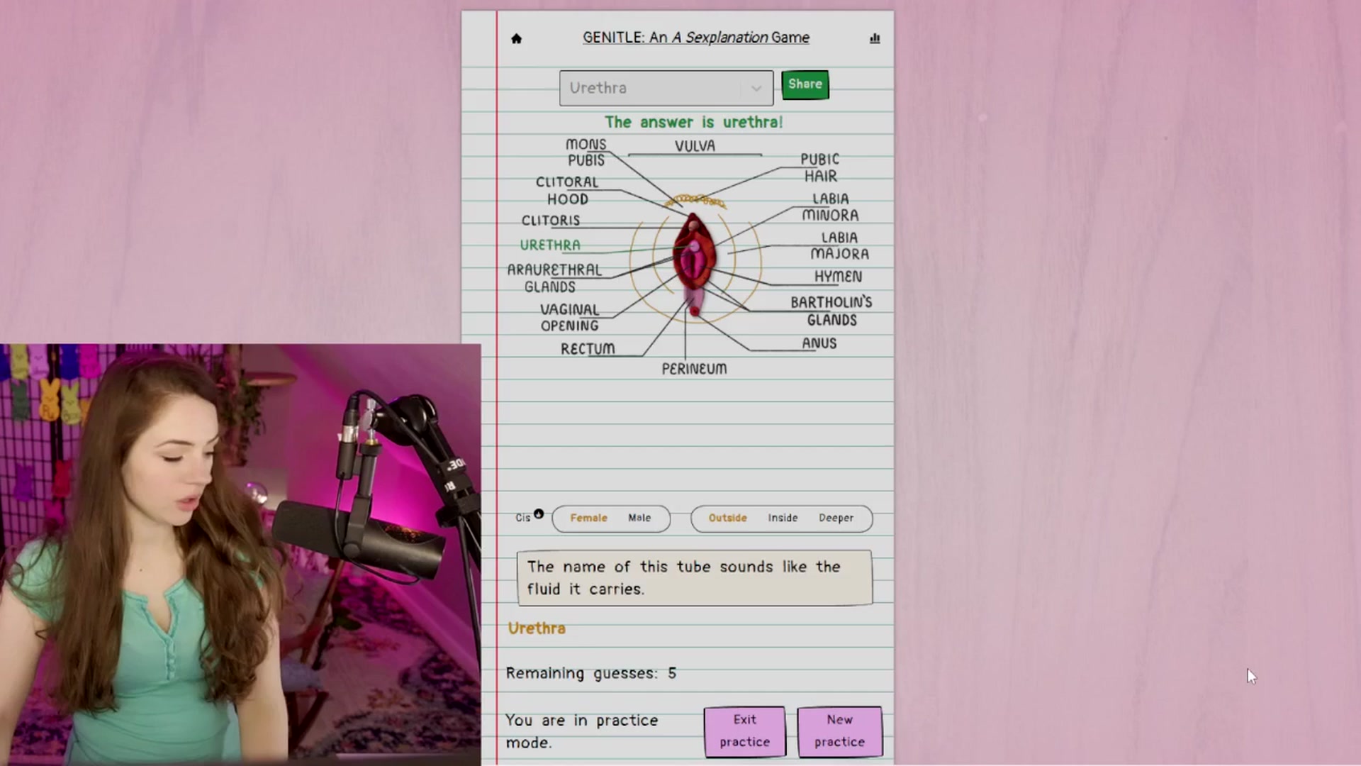 Gallery image thumbnail from ThePeepShow's myfreecams stream on, 04/29/2025, 08:41 image 8 of 20