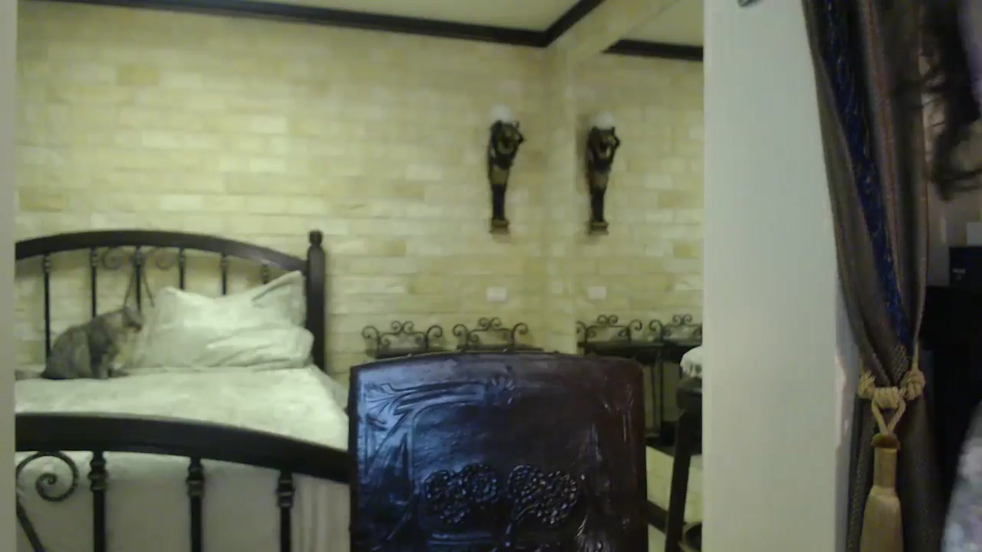 Gallery image thumbnail from ThePerfectNam's myfreecams stream on, 04/17/2025, 02:37 image 17 of 20