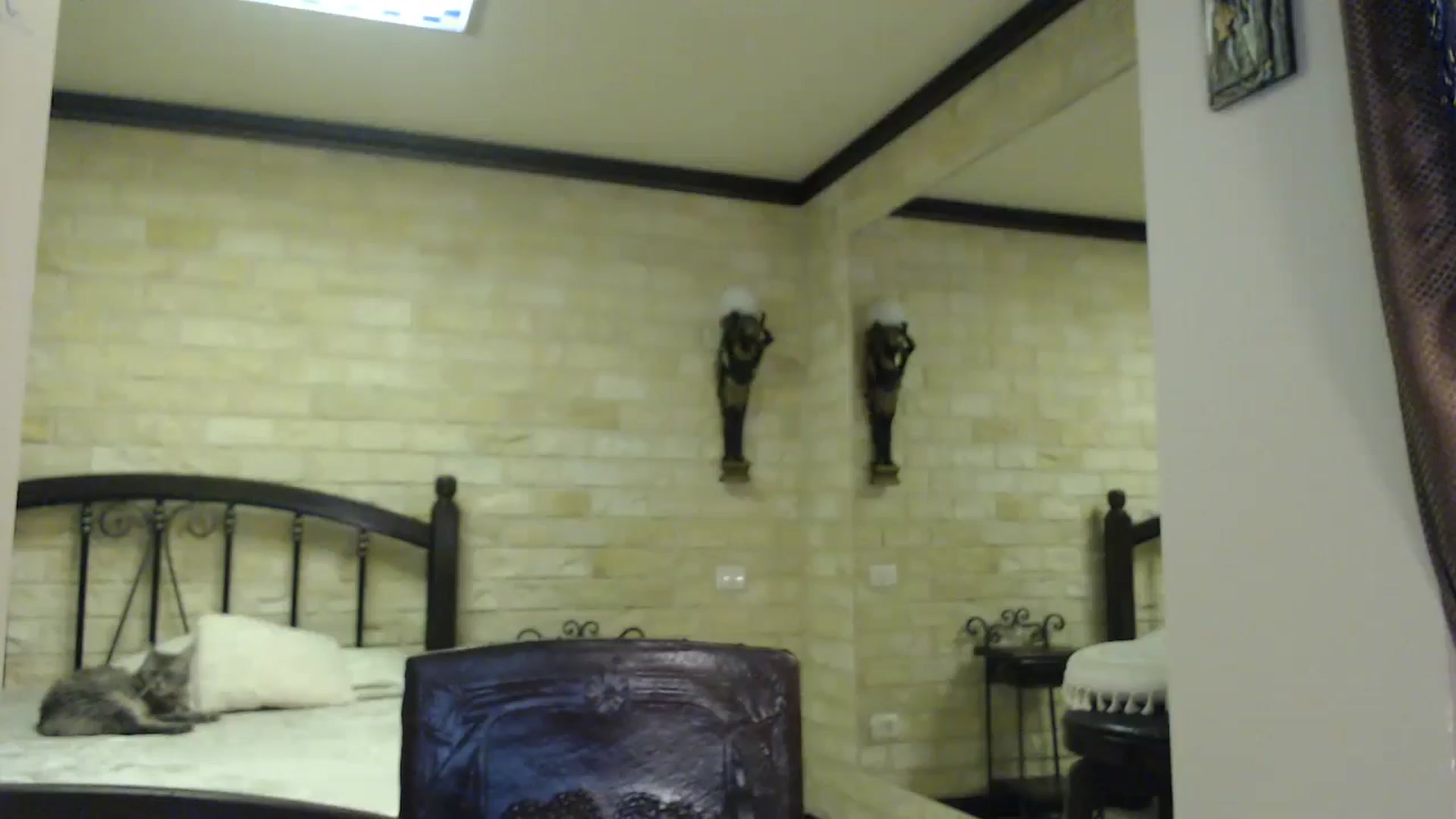 Gallery image thumbnail from ThePerfectNam's myfreecams stream on, 05/12/2025, 23:36 image 19 of 20