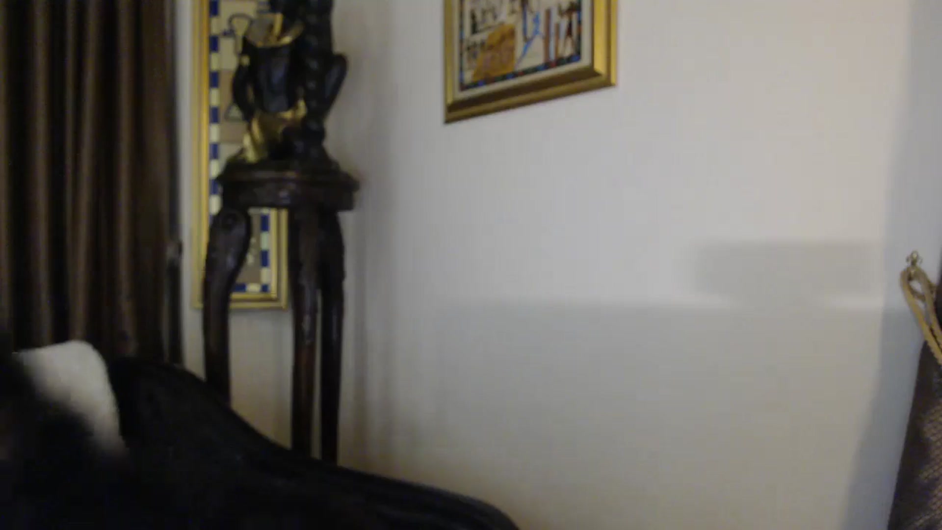 Gallery image thumbnail from ThePerfectNam's myfreecams stream on, 05/17/2025, 02:05 image 2 of 20