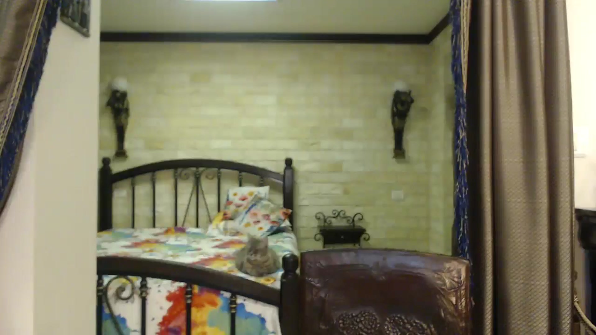 Gallery image thumbnail from ThePerfectNam's myfreecams stream on, 05/25/2025, 01:23 image 11 of 20