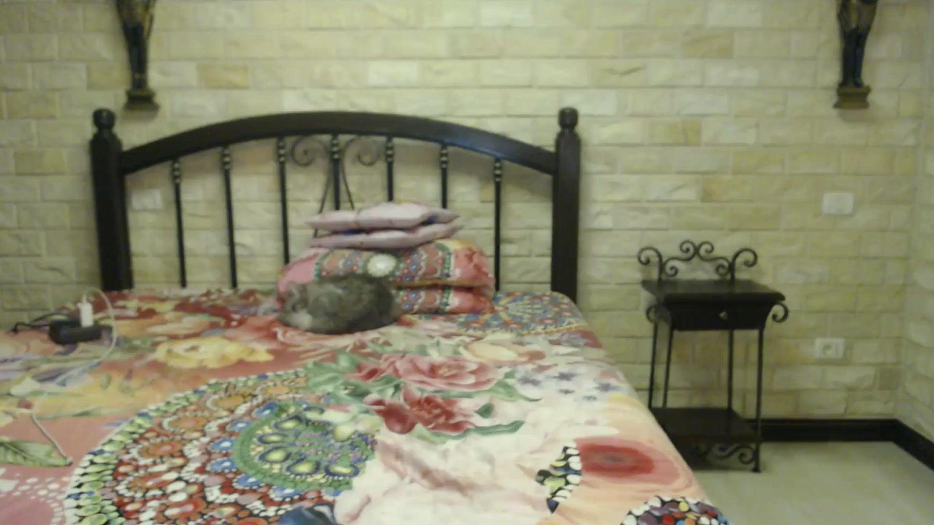 Gallery image thumbnail from ThePerfectNam's myfreecams stream on, 06/30/2025, 07:58 image 4 of 20