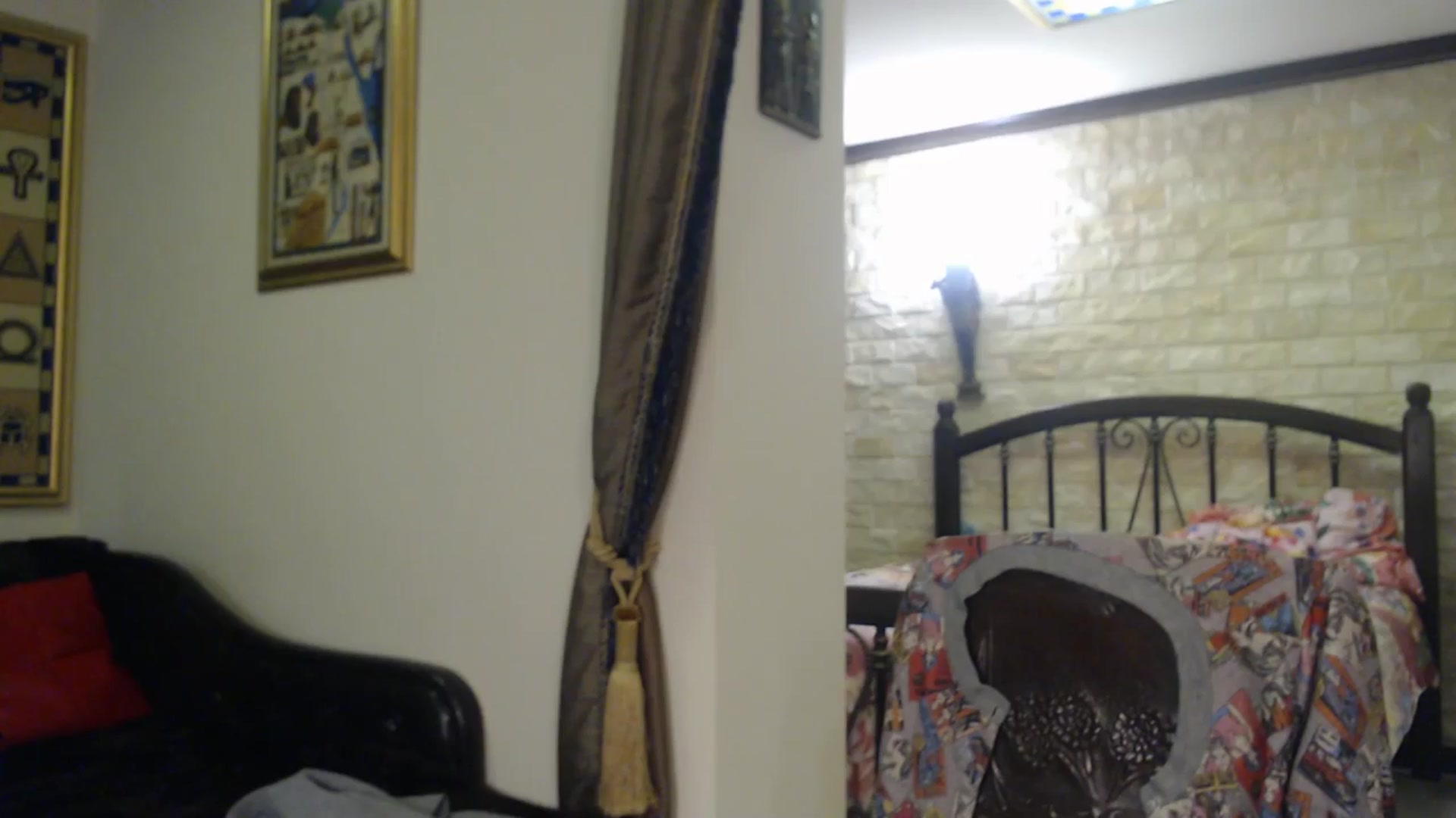 Gallery image thumbnail from ThePerfectNam's myfreecams stream on, 11/18/2025, 05:58 image 19 of 20